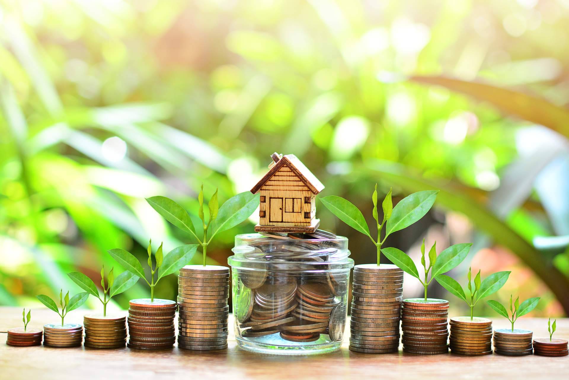 La importancia de contar con un asesor experimentado para realizar operaciones inmobiliarias satisfactorias, por Subastafácil