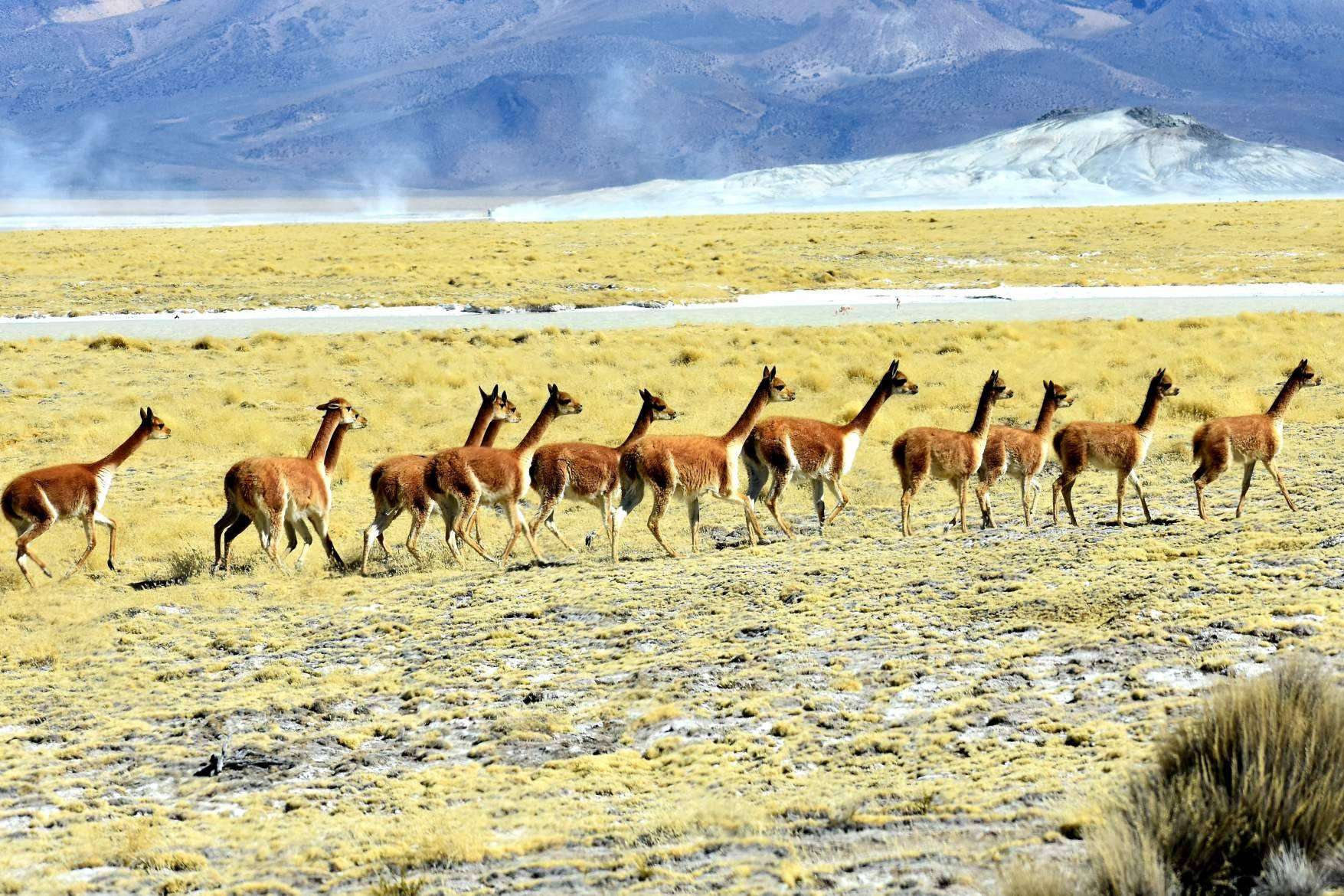 Mayuru Tour permite descubrir los rincones más impresionantes de Chile