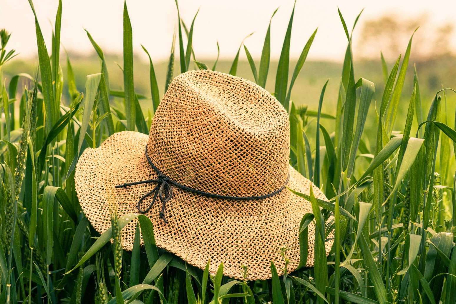 Ecofami, mucho más que una empresa dedicada a la venta de envases y bolsas biodegradables