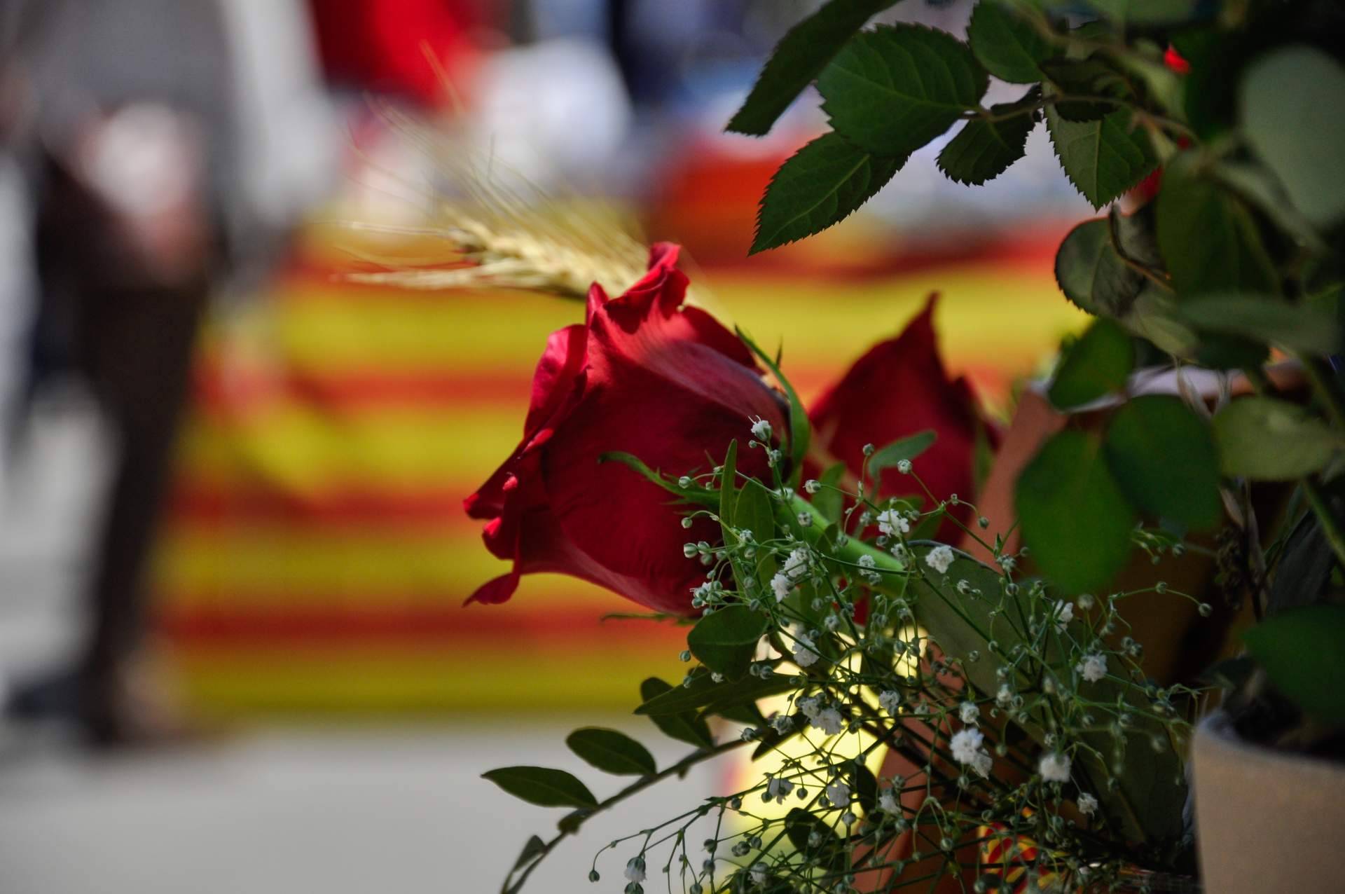 Sant Jordi, ¿cómo nació la tradición catalana de las rosas y los libros?