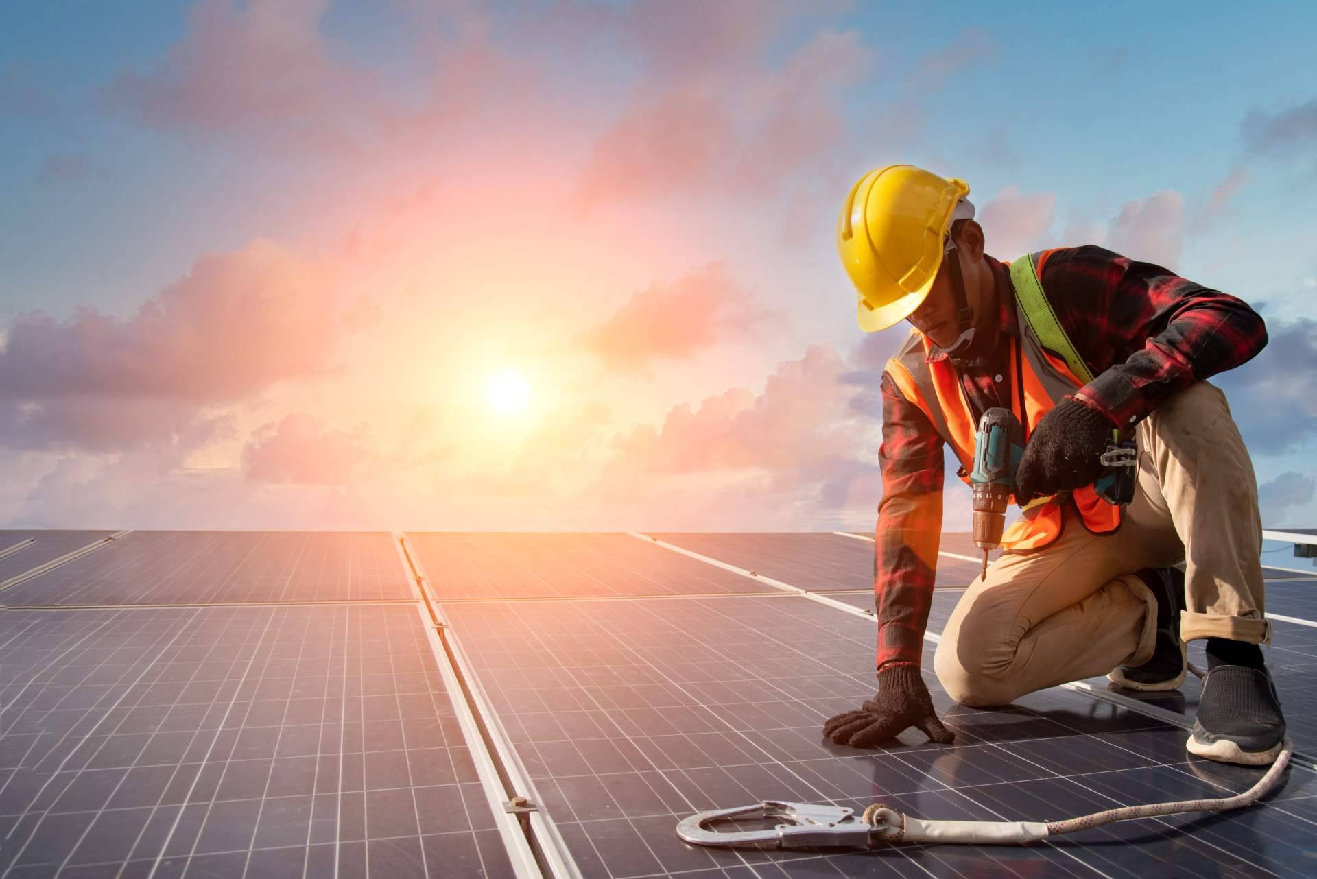 Las ventajas de la instalación de paneles fotovoltaicos en industrias agroalimentarias, con Zerinthia Battery