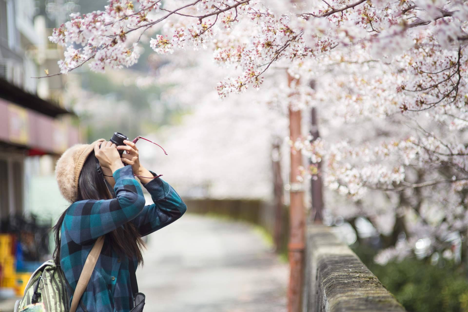 Realizar un viaje de luna de miel a Japón, de la mano de Fénix Viajes