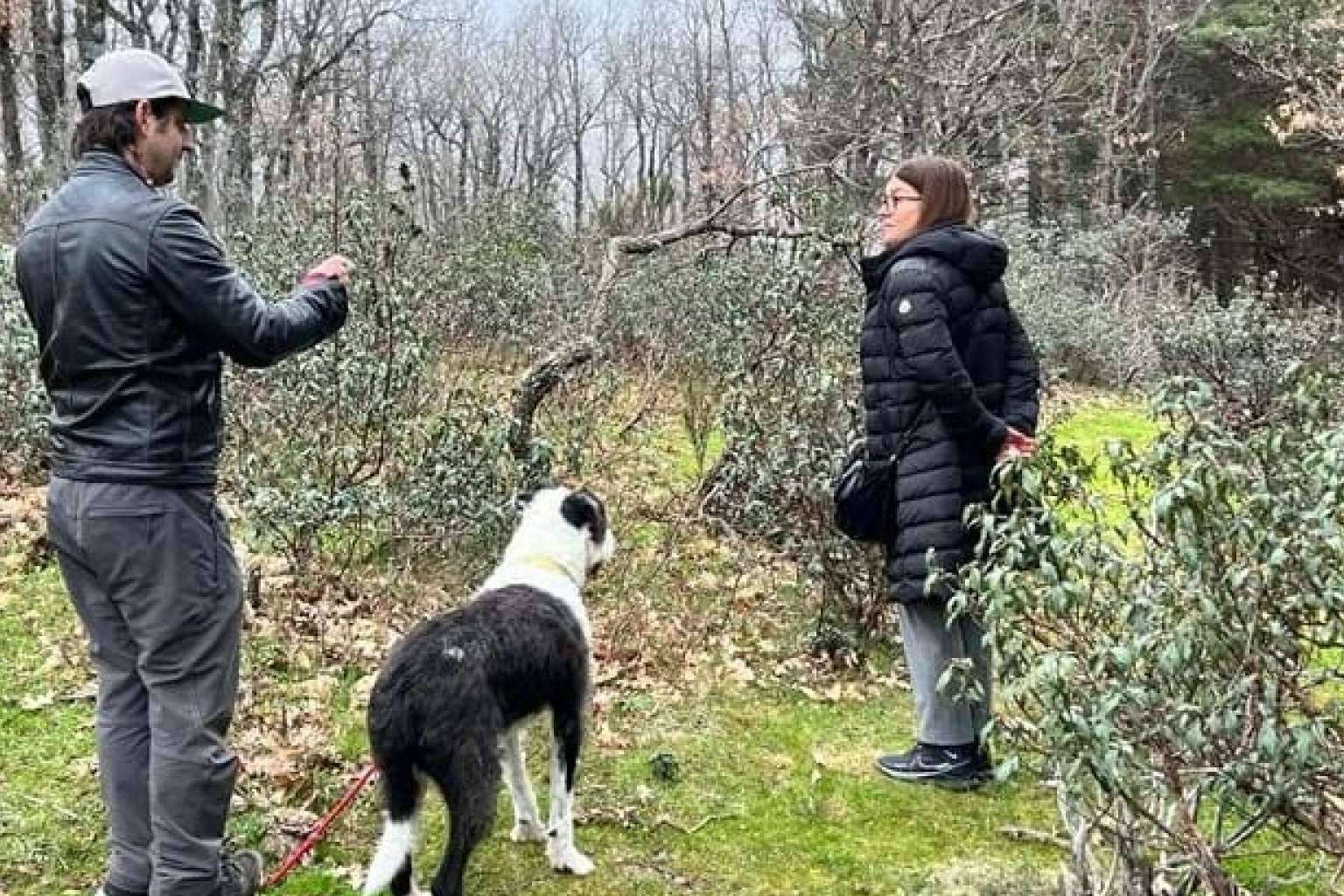 Actividades que emocionan en la naturaleza, con Escuela de Actividades Naturales