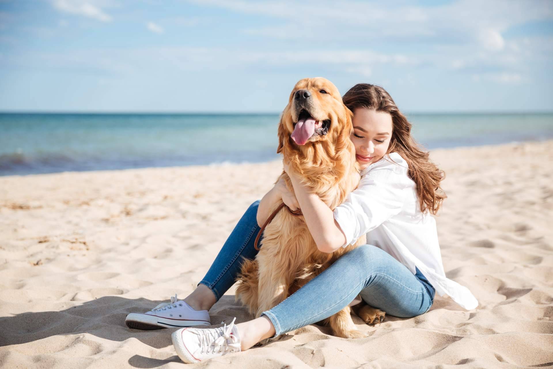 Adopción de perros con seguridad y responsabilidad, en Valencia
