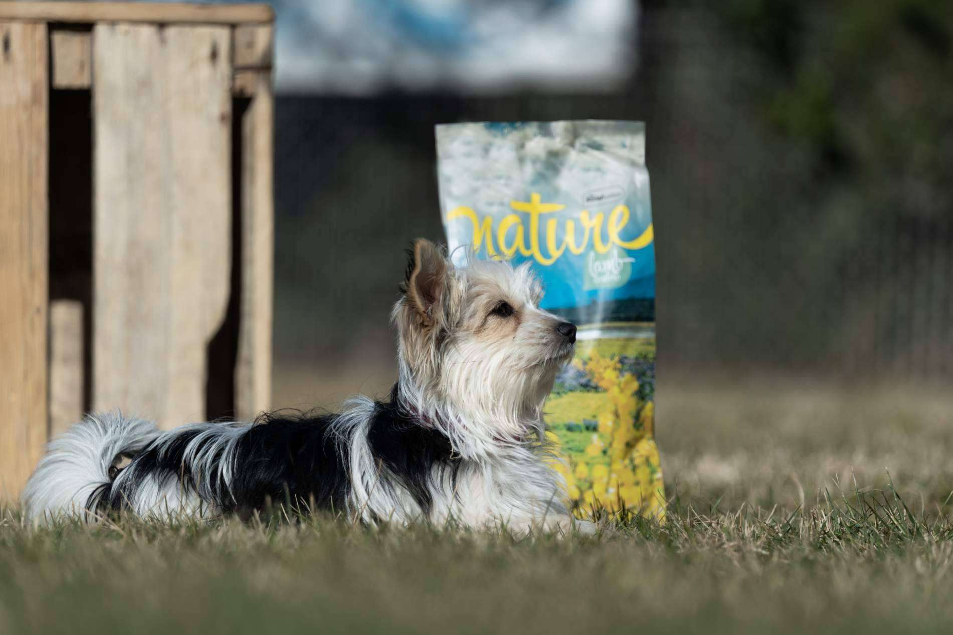 Pienso para perros sin cereales, con la gama Nature de Satisfaction