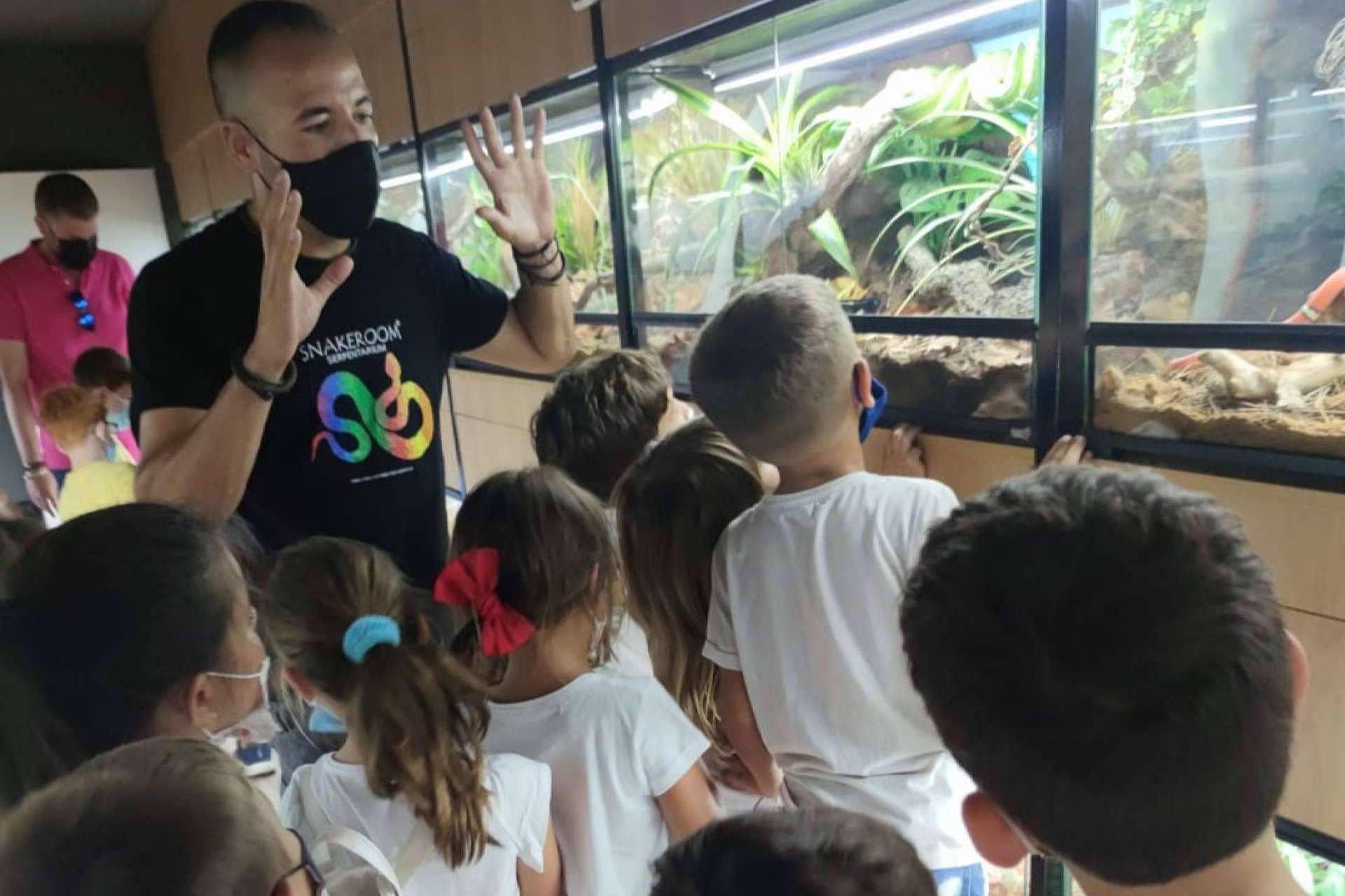 En el centro de cría autorizado SnakeRoom se pueden encontrar serpientes como mascota