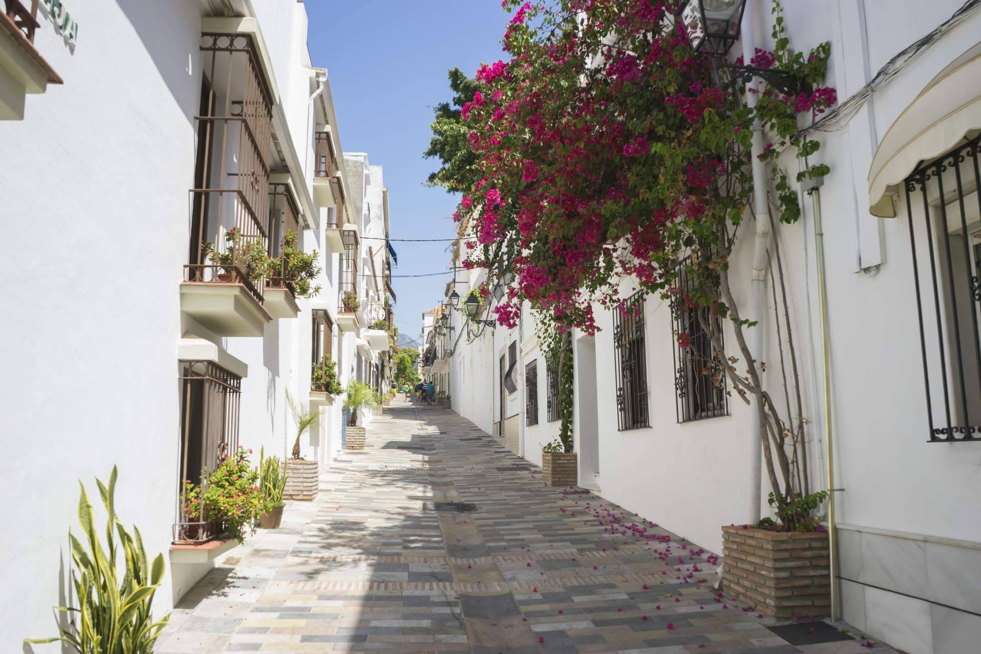 Viviendas en Marbella, enclave cultural con reconocidas escuelas internacionales