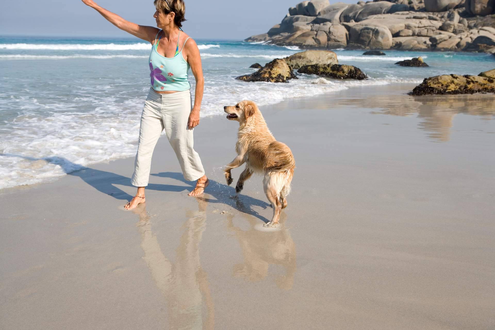 Descubrir el buscador pet friendly de ADOPTA y encontrar los mejores sitios para disfrutar con el perro