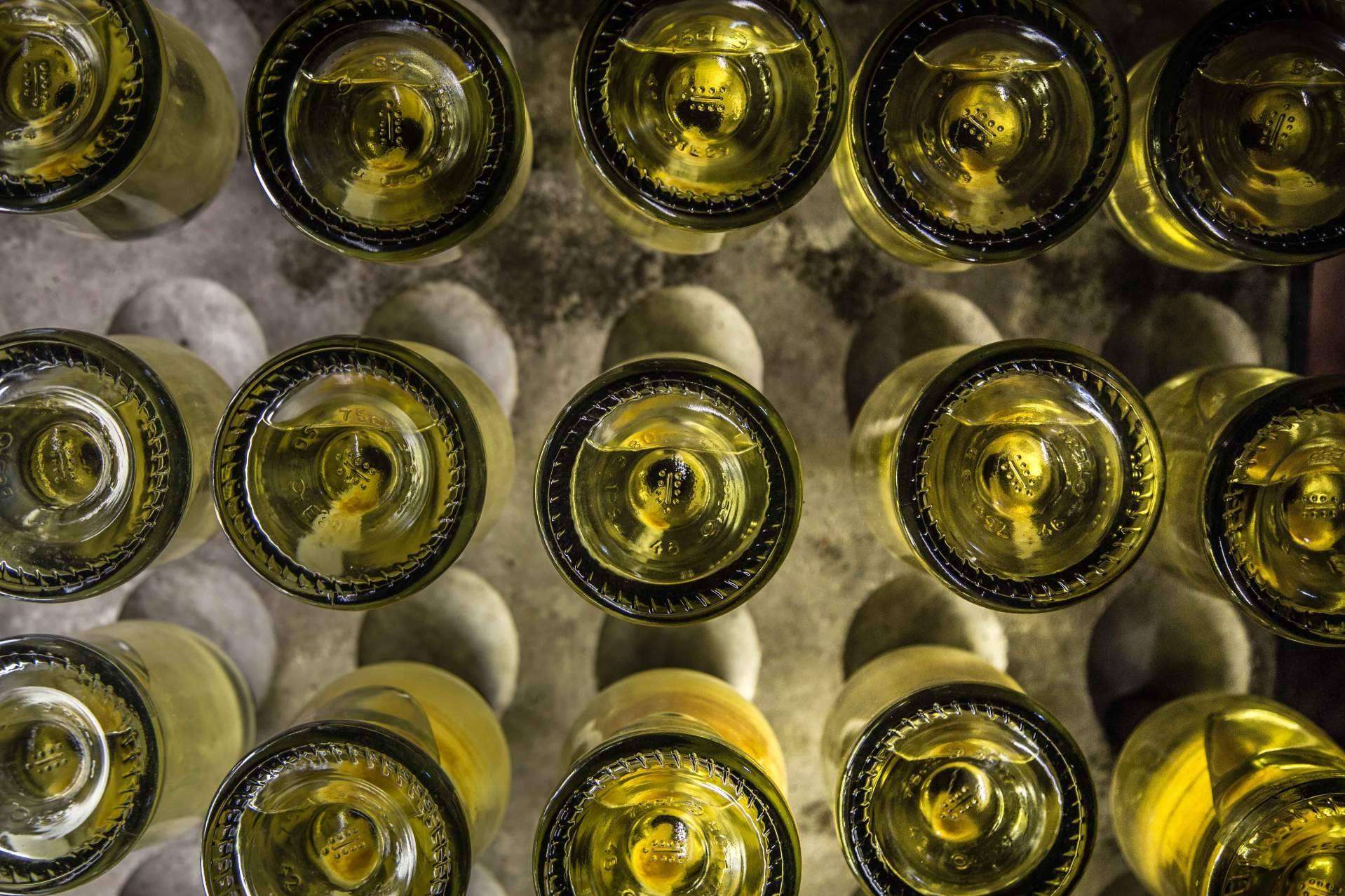 Selección de cava Robert J. Mur en Naturelovers Wines