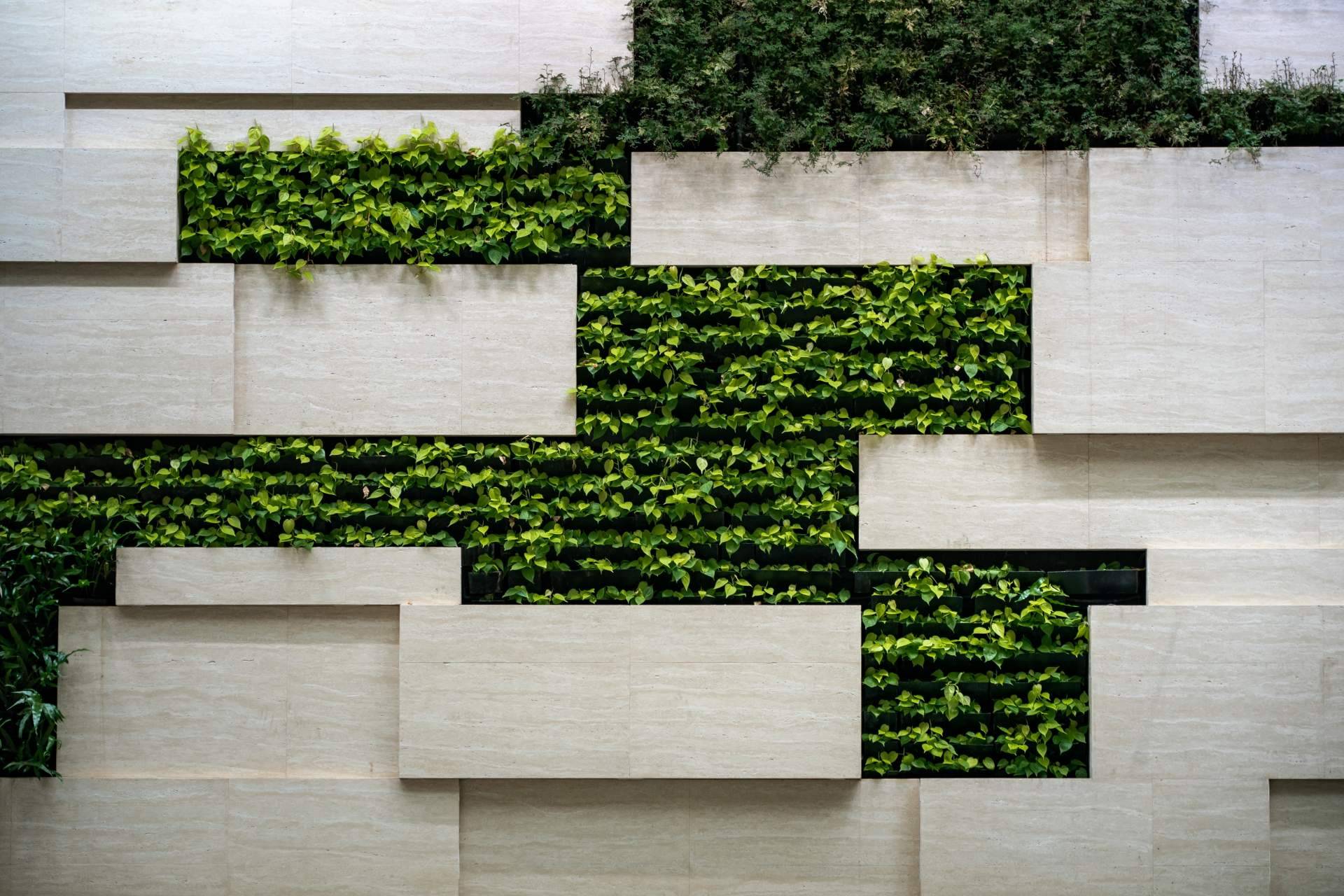 Adquirir un jardín vertical artificial en oferta, en JardinVertical.es