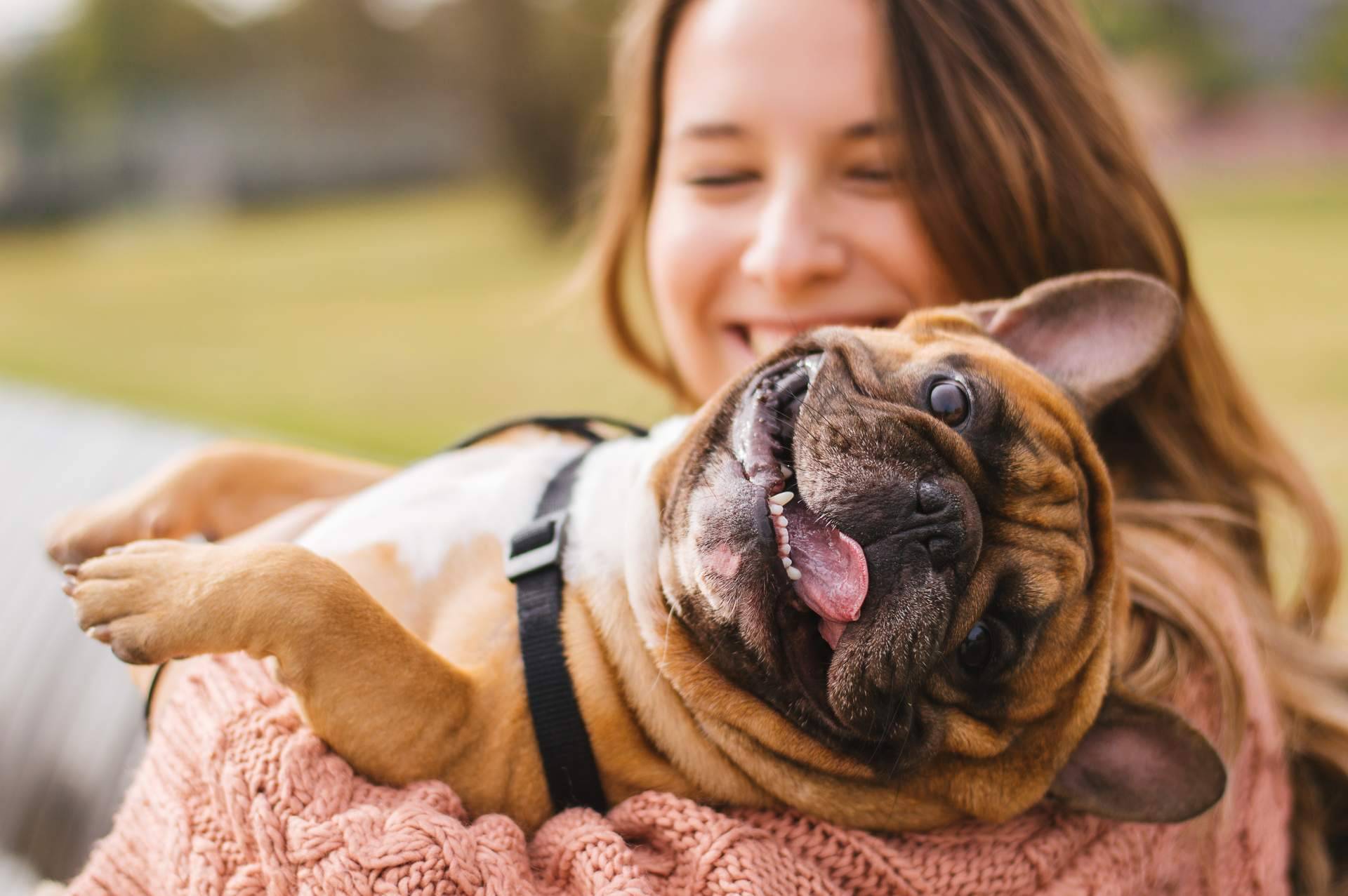 Can Xana, la tienda de productos para mascotas, presenta su nueva página web