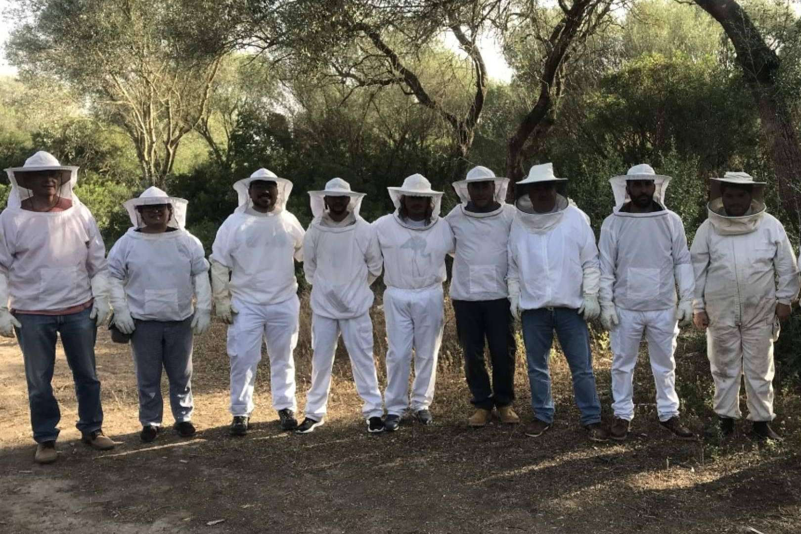 Aprovechar este verano aprendiendo algo nuevo, apicultura