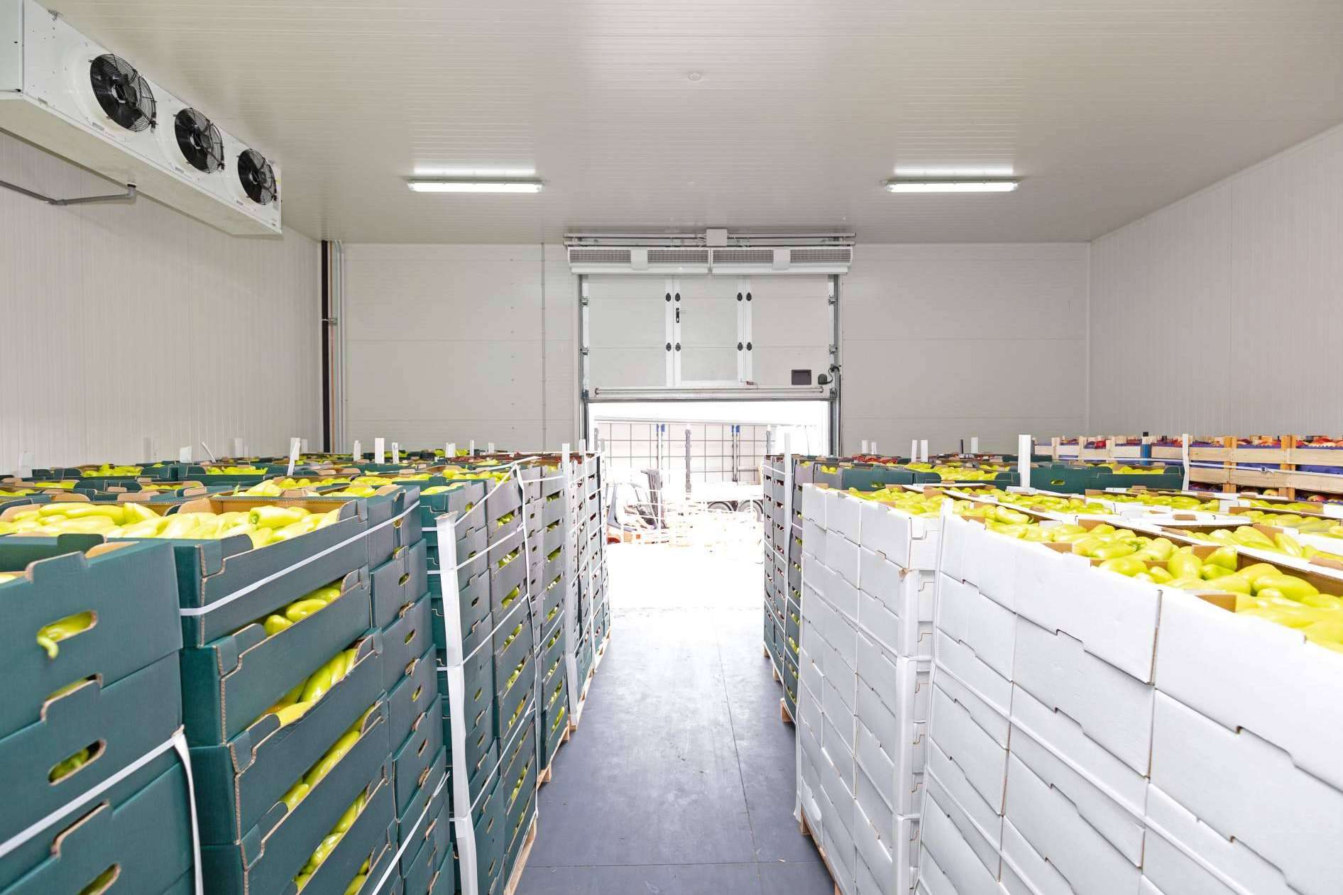 ¿Dónde encontrar un software ERP para la industria alimentaria? ALBA IBS