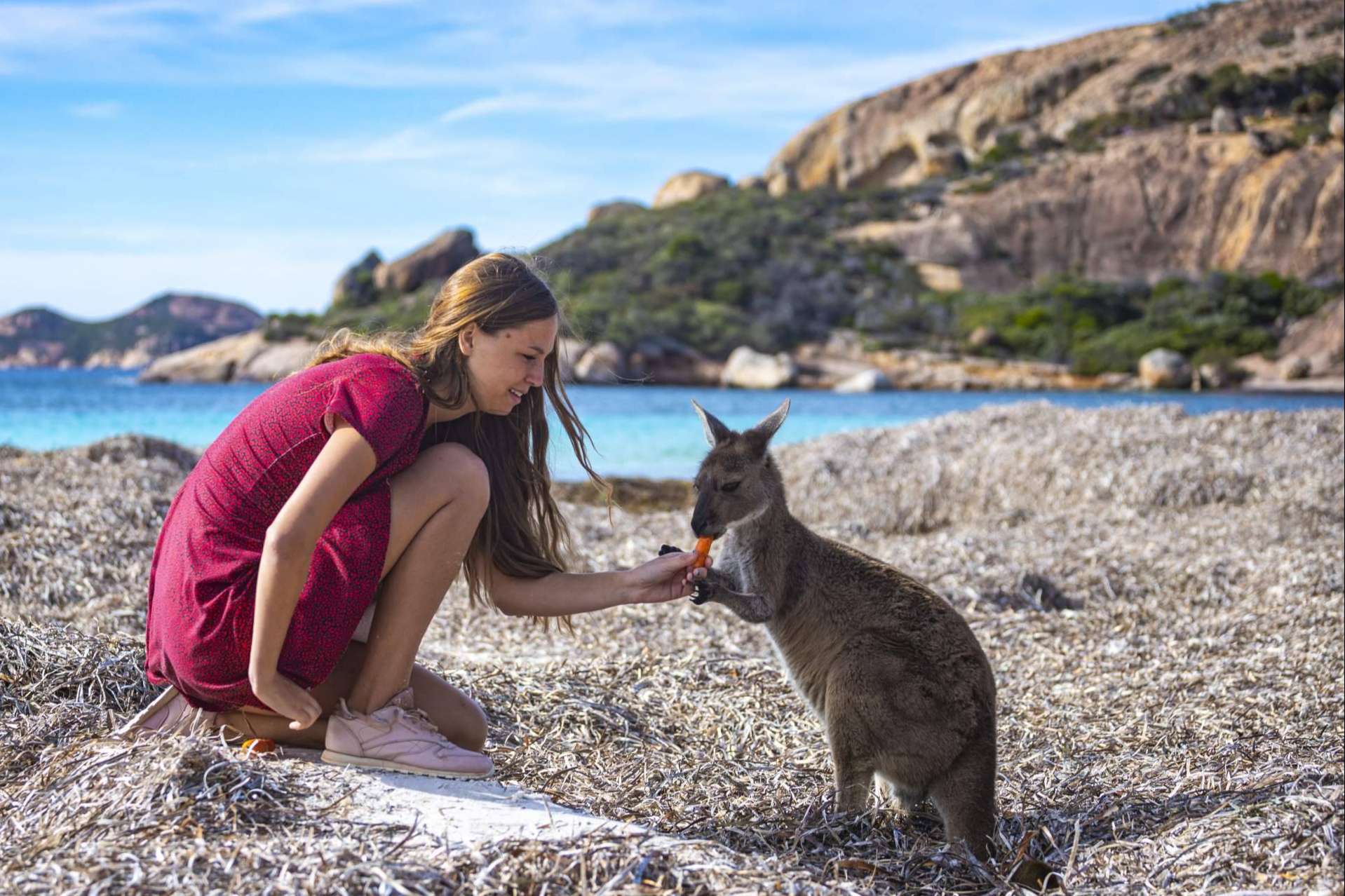 Australia, el país de las oportunidades para emigrar sin saber inglés