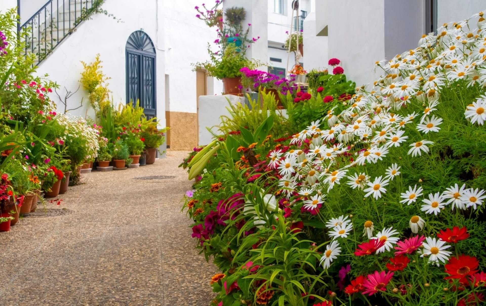 Alquilar un apartamento en setiembre en Cádiz con Vacalia