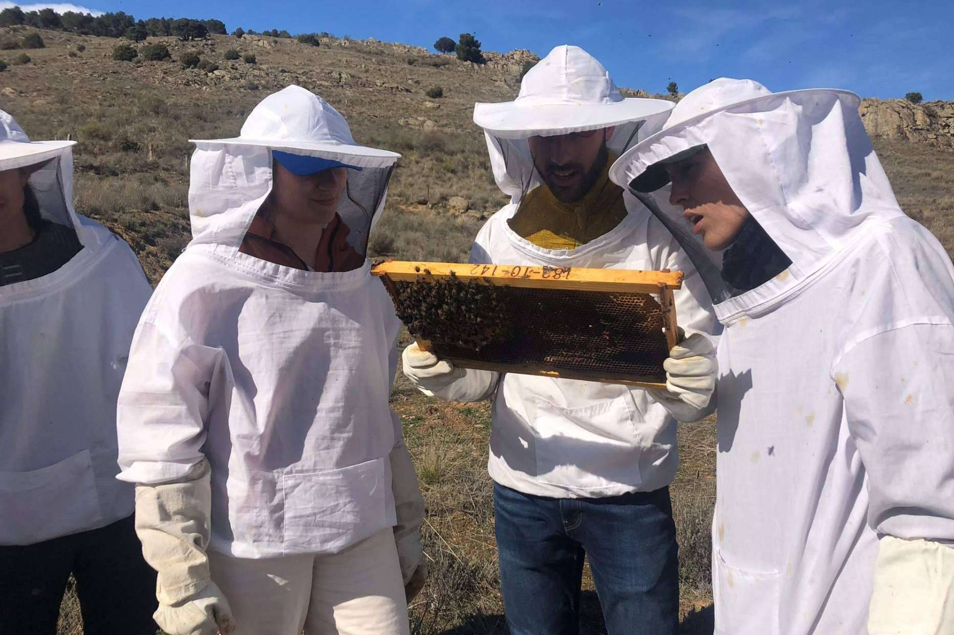 Apiterapia con apitoxina, con Cursos Apicultura