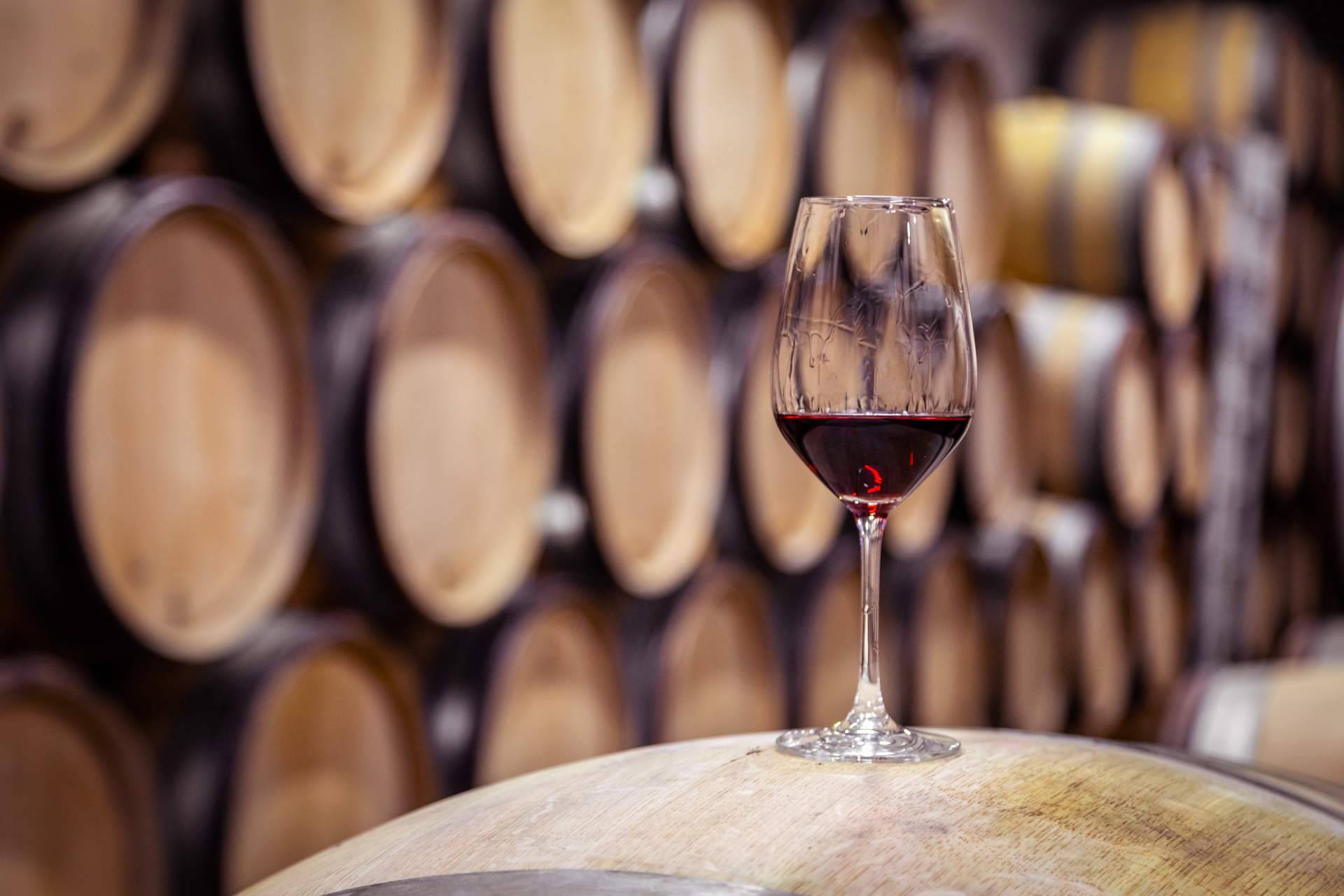 Certitec lanza al mercado un ERP vitivinícola específico para bodegas