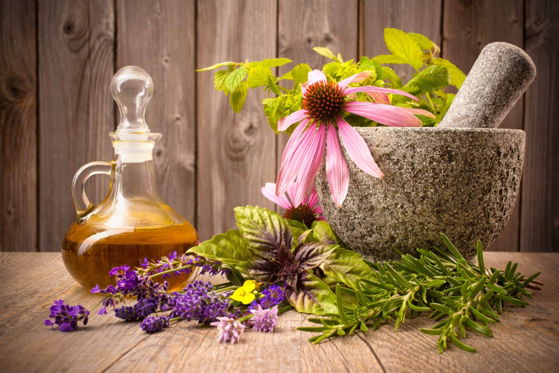 Los beneficios de optar por la fitoterapia, con Farmacia 5 Estrellas