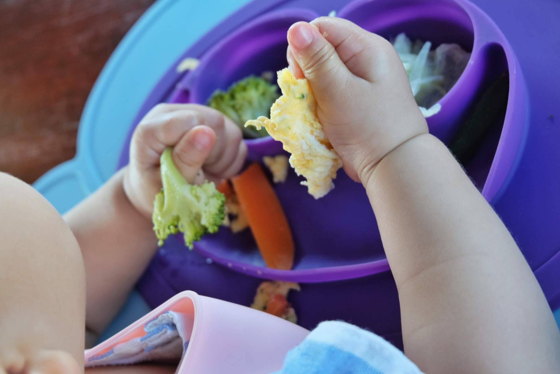 Todo sobre el destete para madres primerizas, con La Teta Que Alimenta