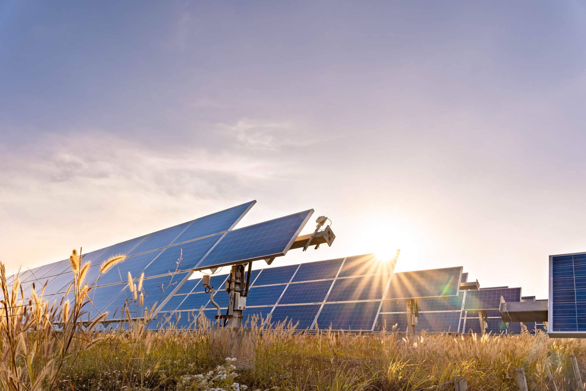 Impulsar las energías renovables y la sostenibilidad en Aragón, un objetivo de PVAI