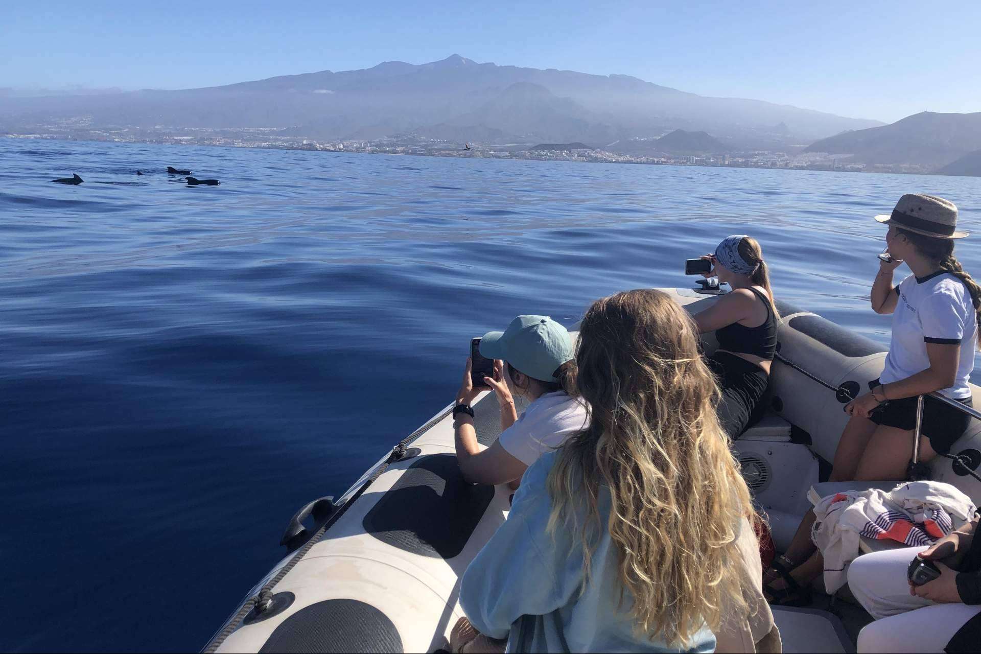 Para la investigación de la ballena piloto en Tenerife, Biosean genera información clave