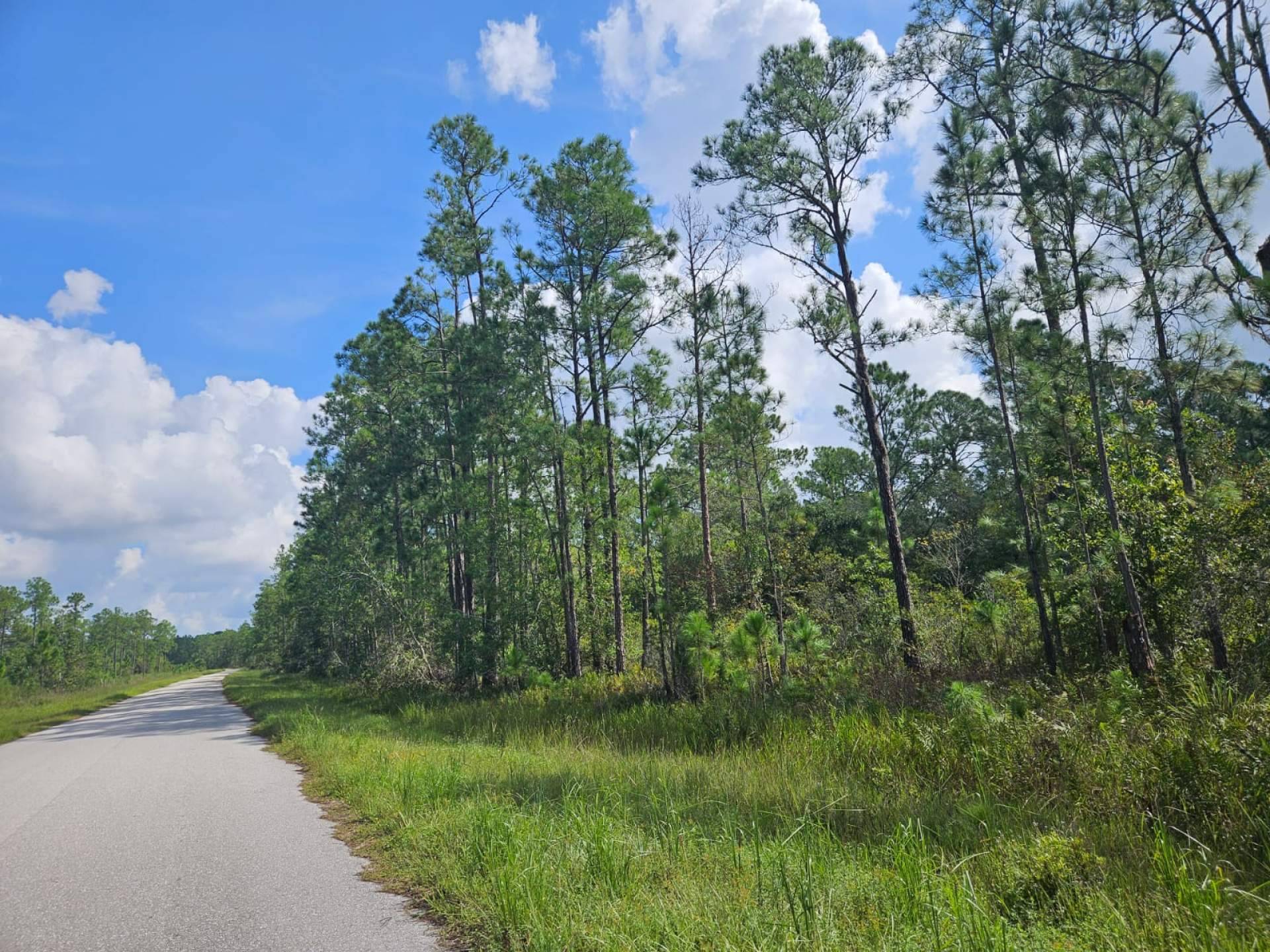 Aumento en el interés de invertir en Florida, por Vista Imark