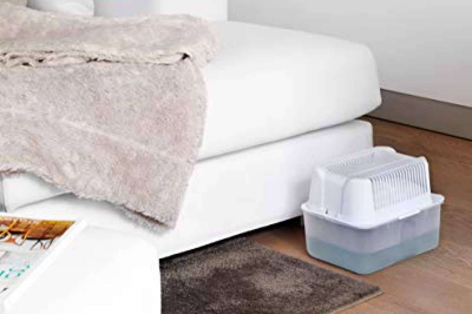 Cómo solucionar los problemas de humedad en casa con Humydry