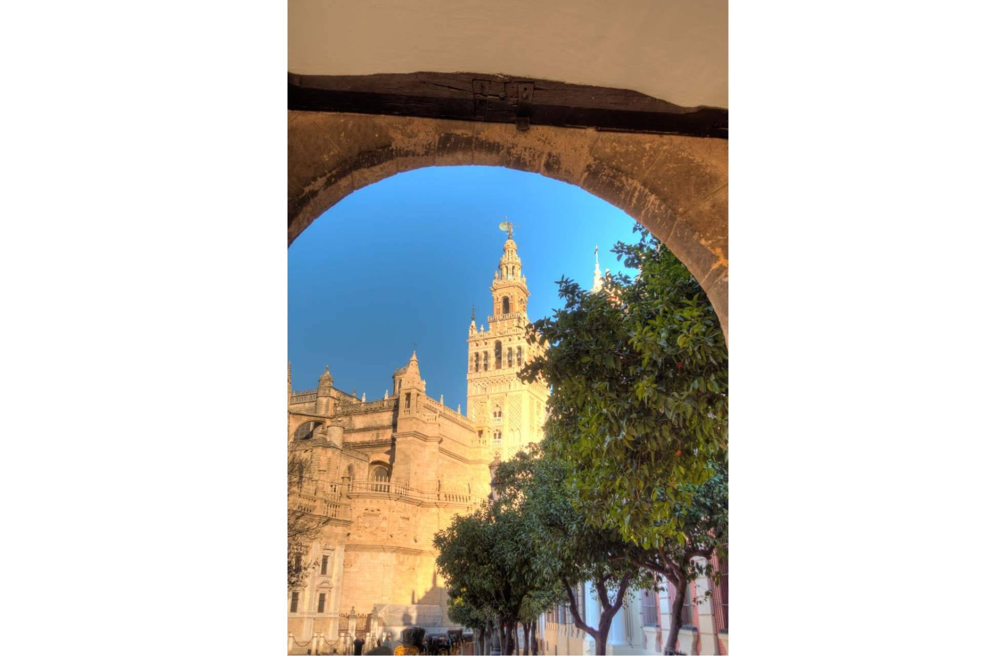 Descubrir la magia de Sevilla. Los tours en Sevilla que nadie se debe perder