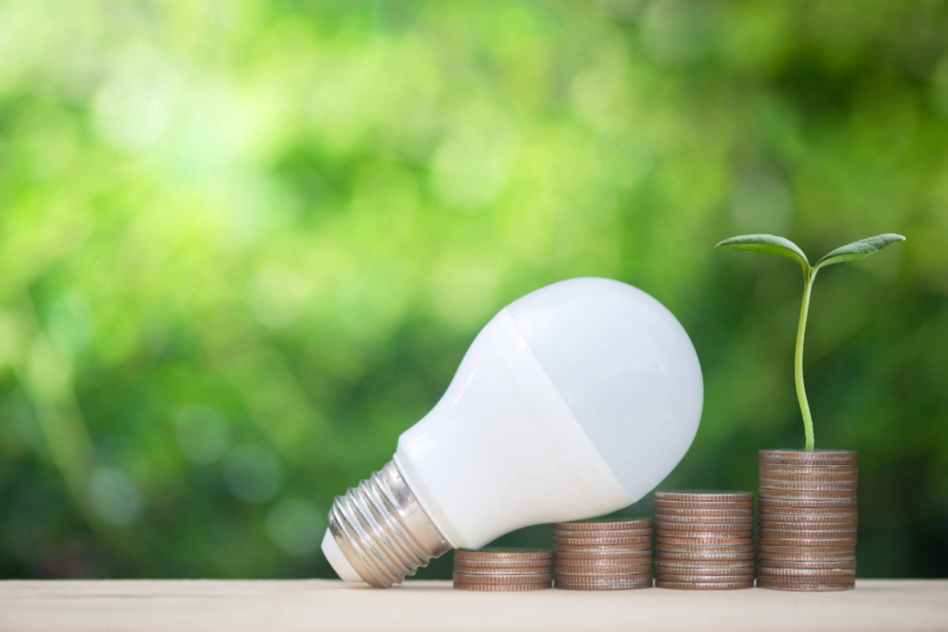 Ahorro en telefonía a particulares, empresas y organismos públicos, de la mano de Ahorro Direct