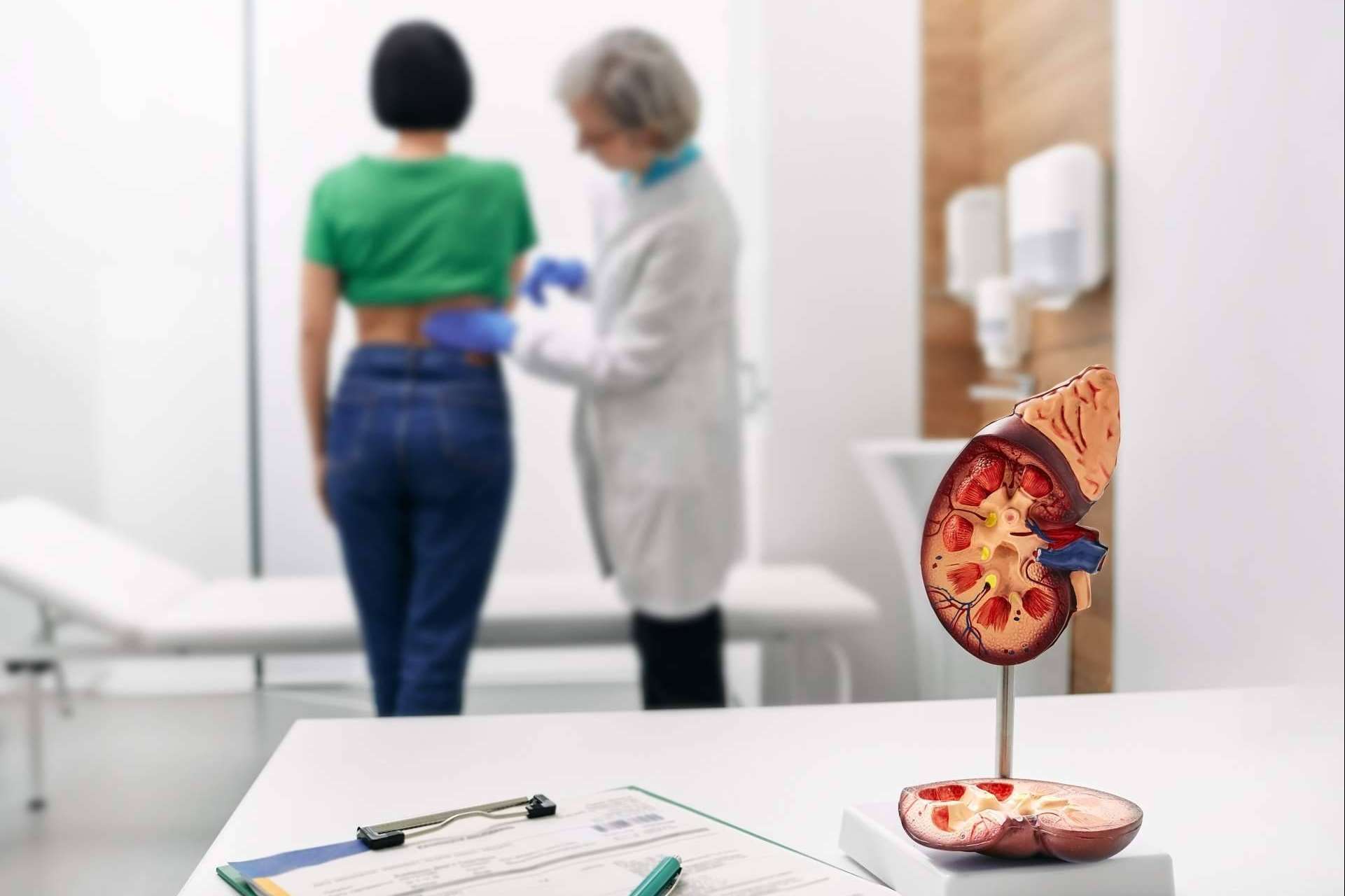 ¿Cómo frenar o prevenir las enfermedades renales?, por la clínica MER