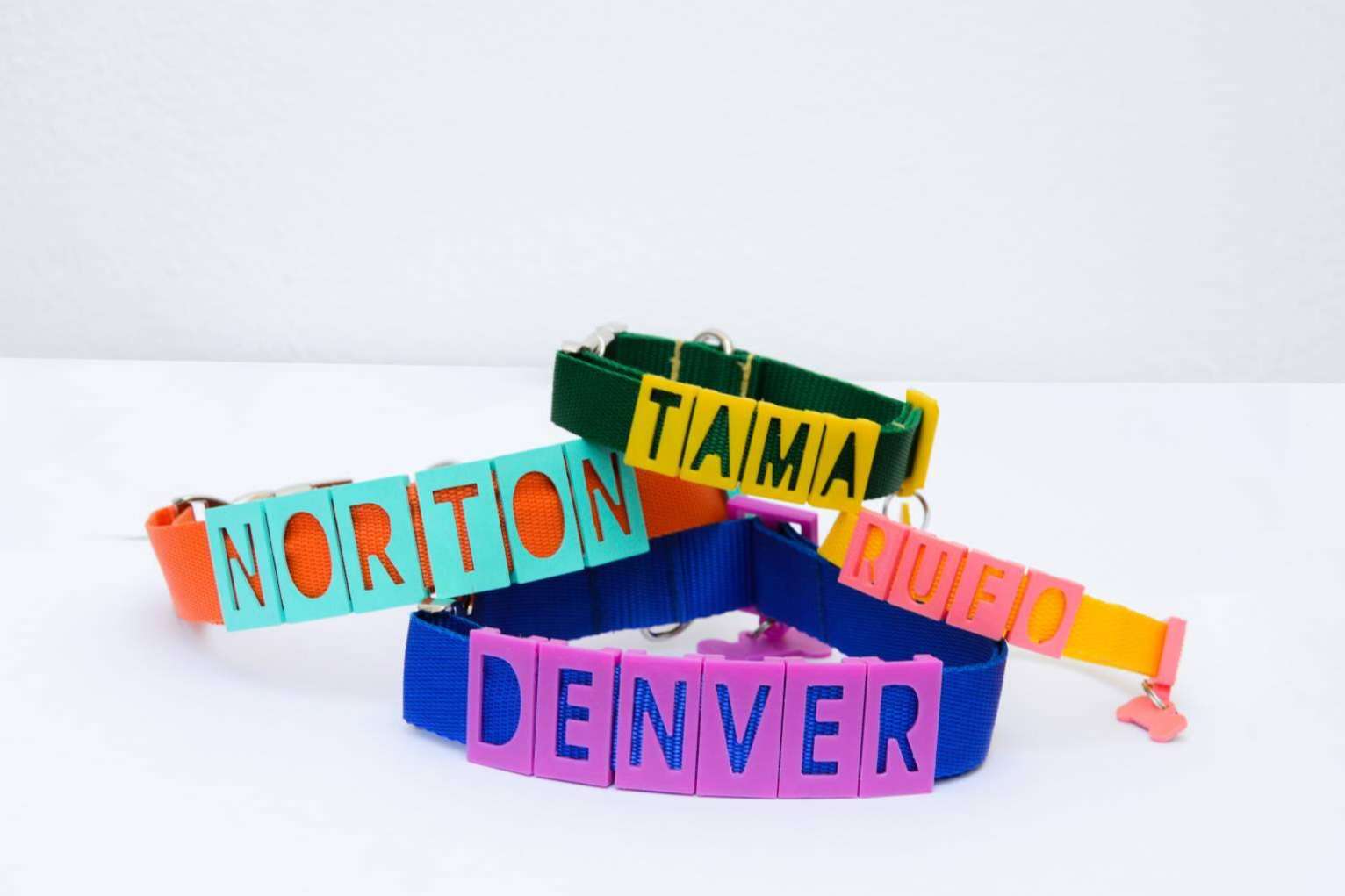 Proteger a la mascota con los collares y chapas personalizadas de Seron