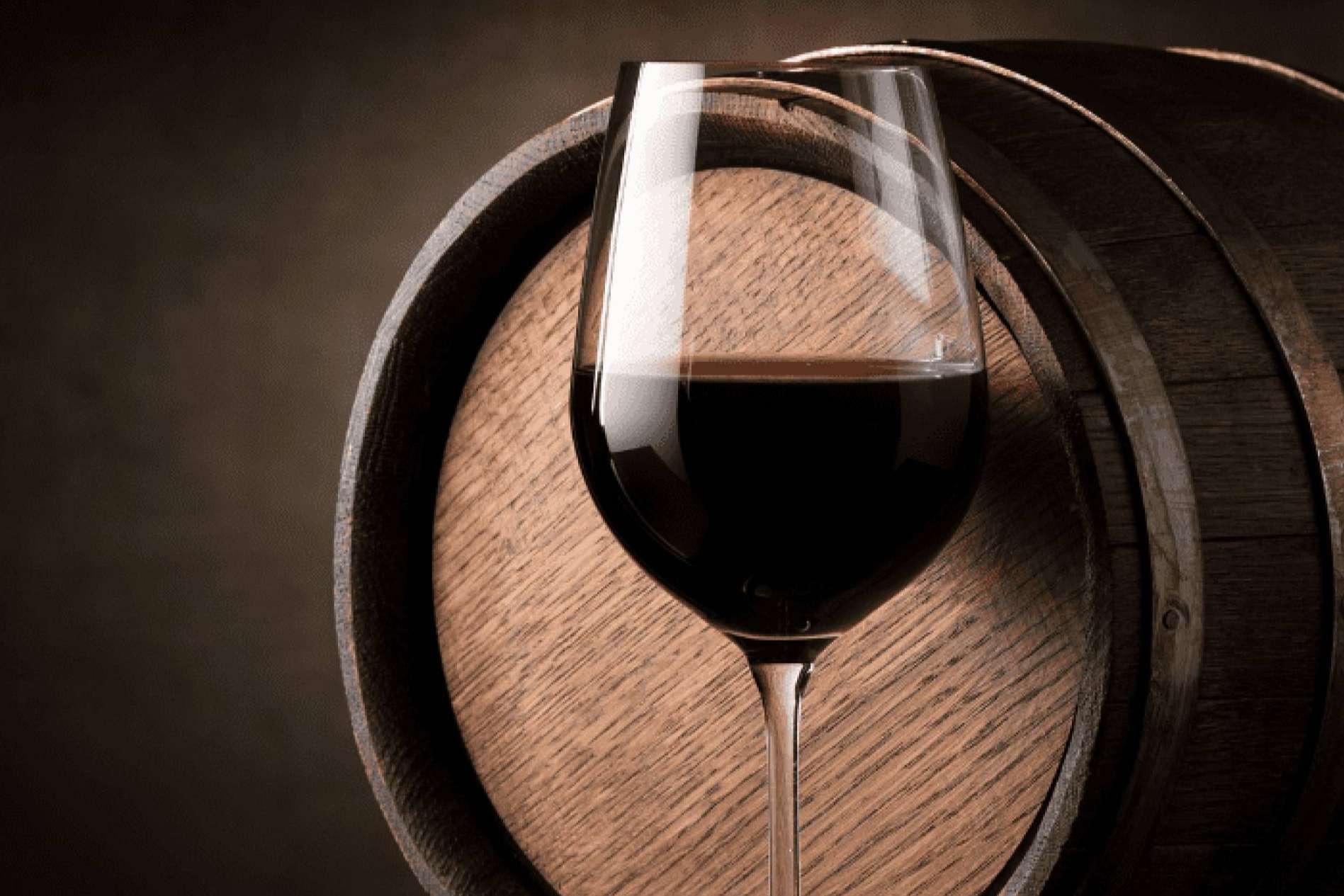 Las bodegas, donde el vino nace