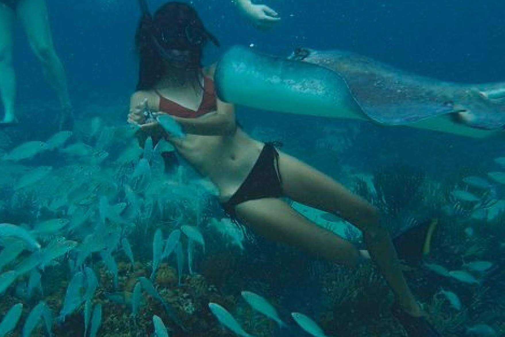 Cayman Ocean Adventures permite disfrutar de las playas y la naturaleza de las Islas Caimán