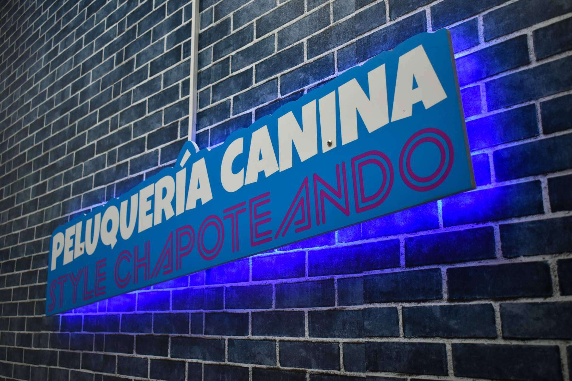 ¿Cuáles son las ventajas de las franquicias de peluquería canina de Chapoteando?