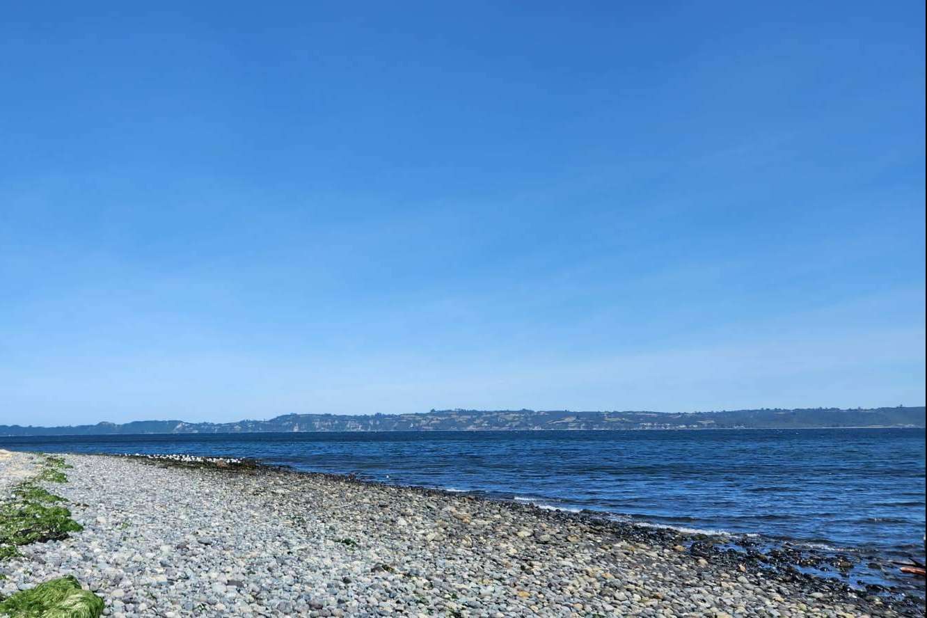 La clave del éxito en la inversión de parcelas al sur de Chile; Planificación y asesoría con Latitudes Australes
