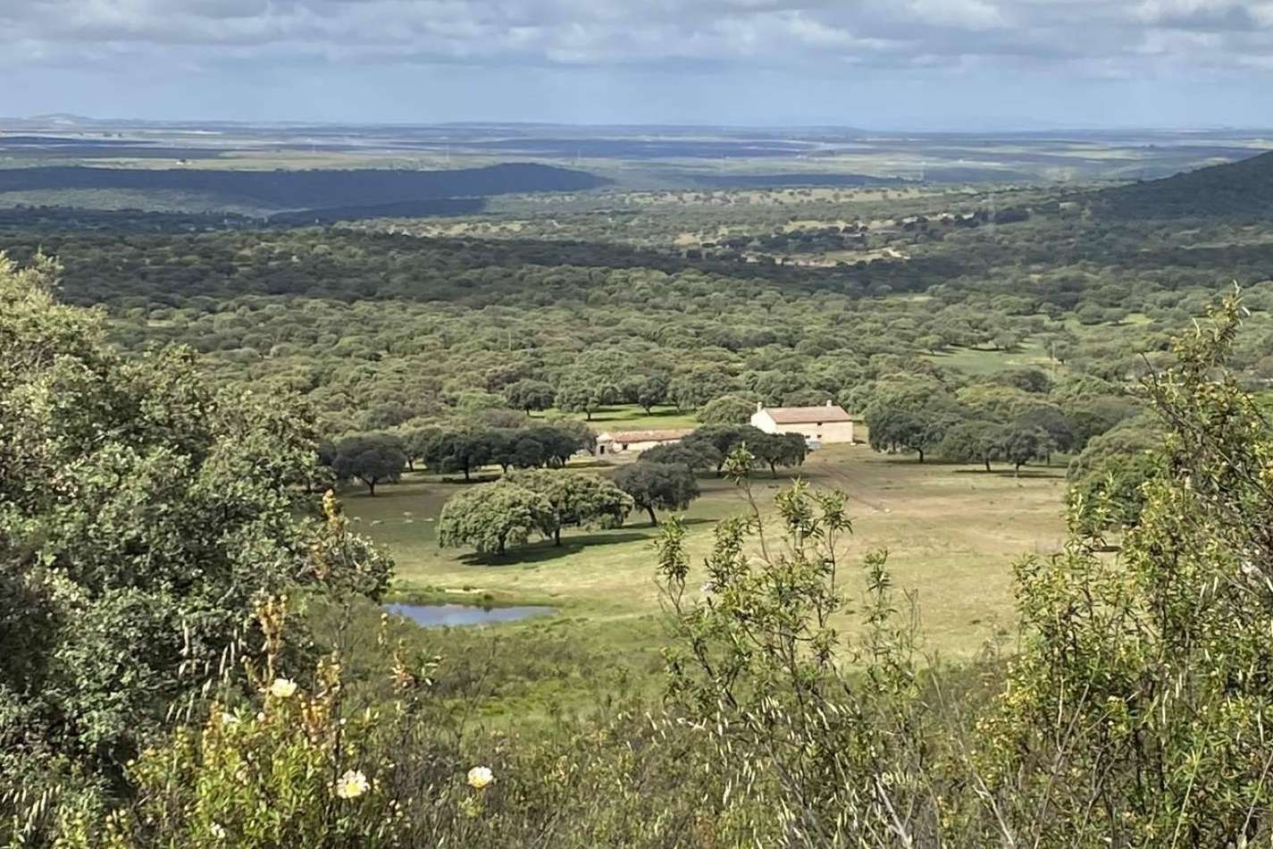 La puesta en valor del campo es la clave de la inversión