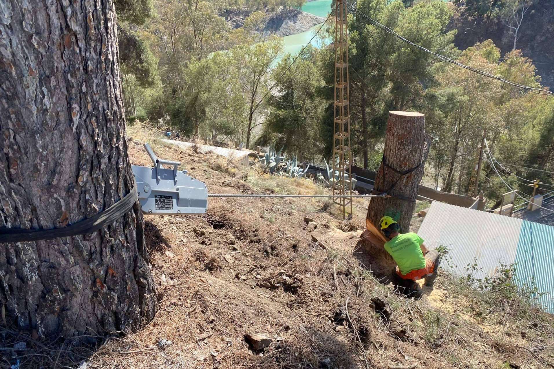 Guardianes de la naturaleza, un curso de Poda y Tala en Altura para formar técnicos forestales expertos