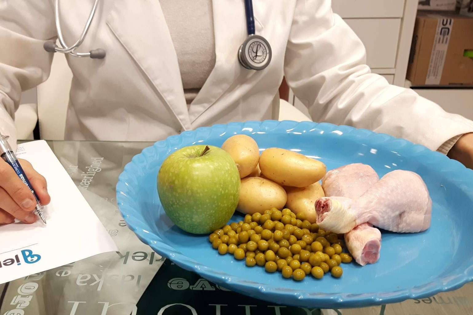 Clínica Veterinaria Jeremías ayuda con el certificado CEXGAN y los viajes internacionales de mascotas