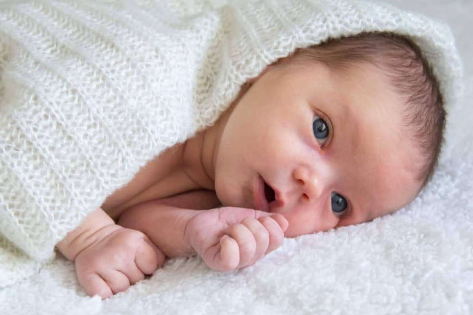 Siempre fruto, la nueva obra de la artista Susana Frías