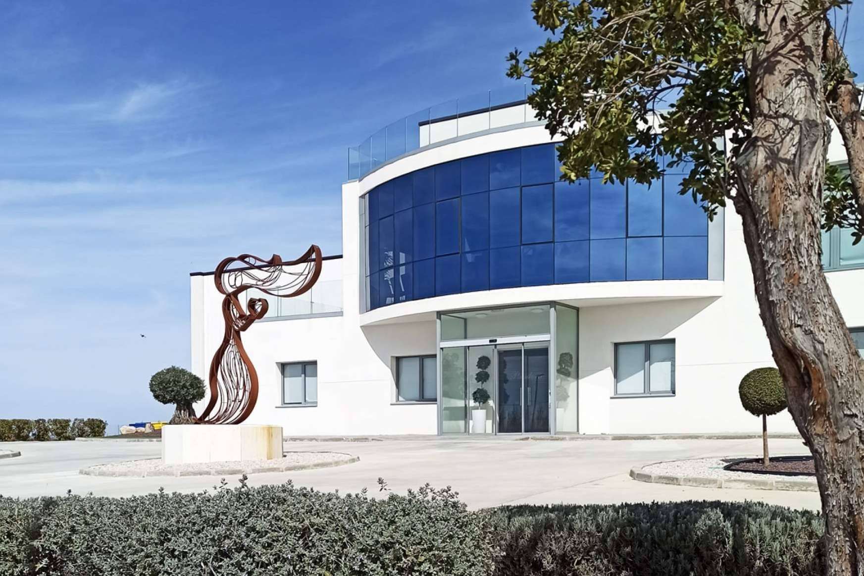 Bodegas Pandora, un ejemplo de la pasión y visión vinícola 