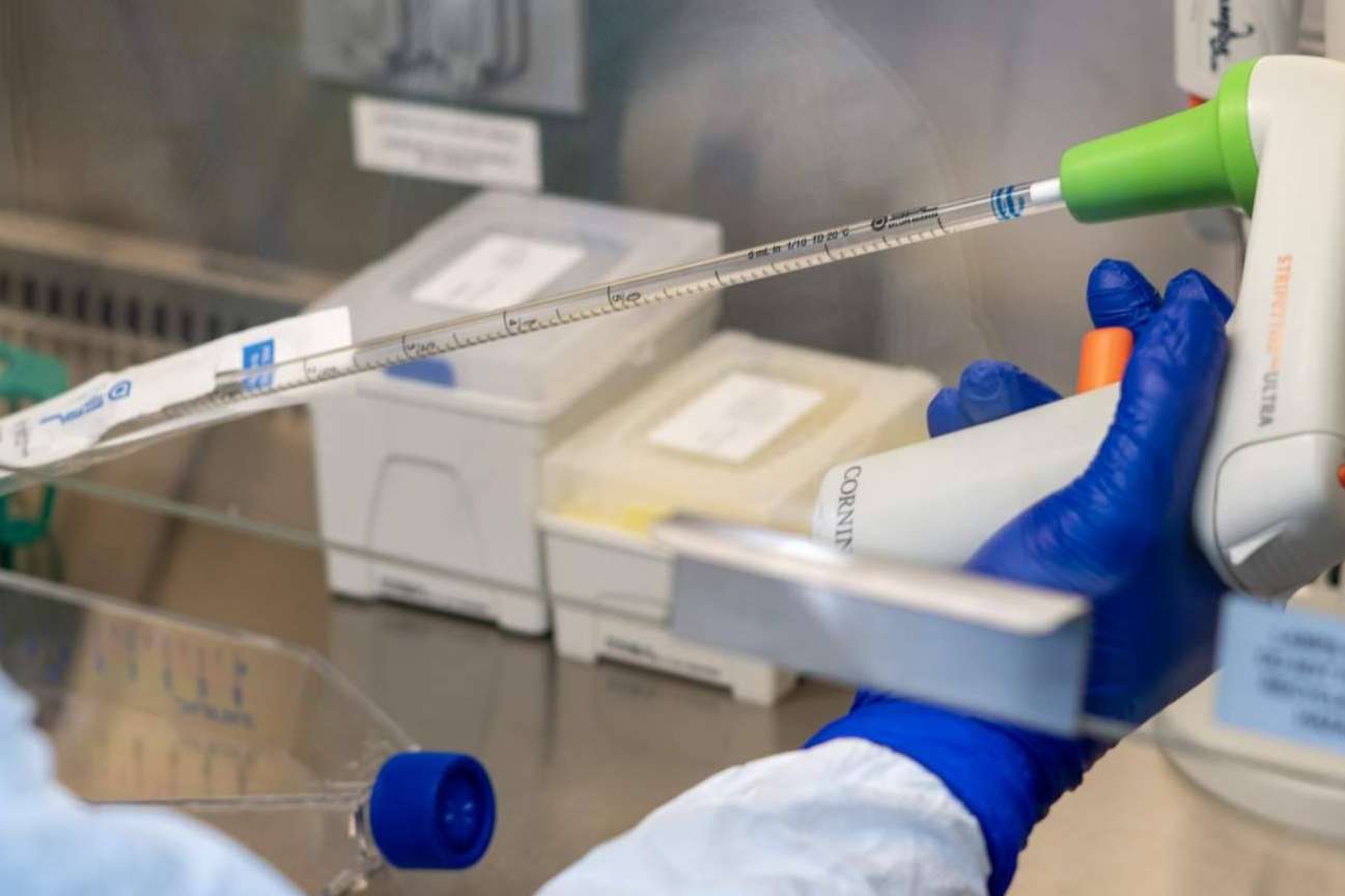 La valiosa ventaja de la inmunoterapia DEX personalizada contra el cáncer
