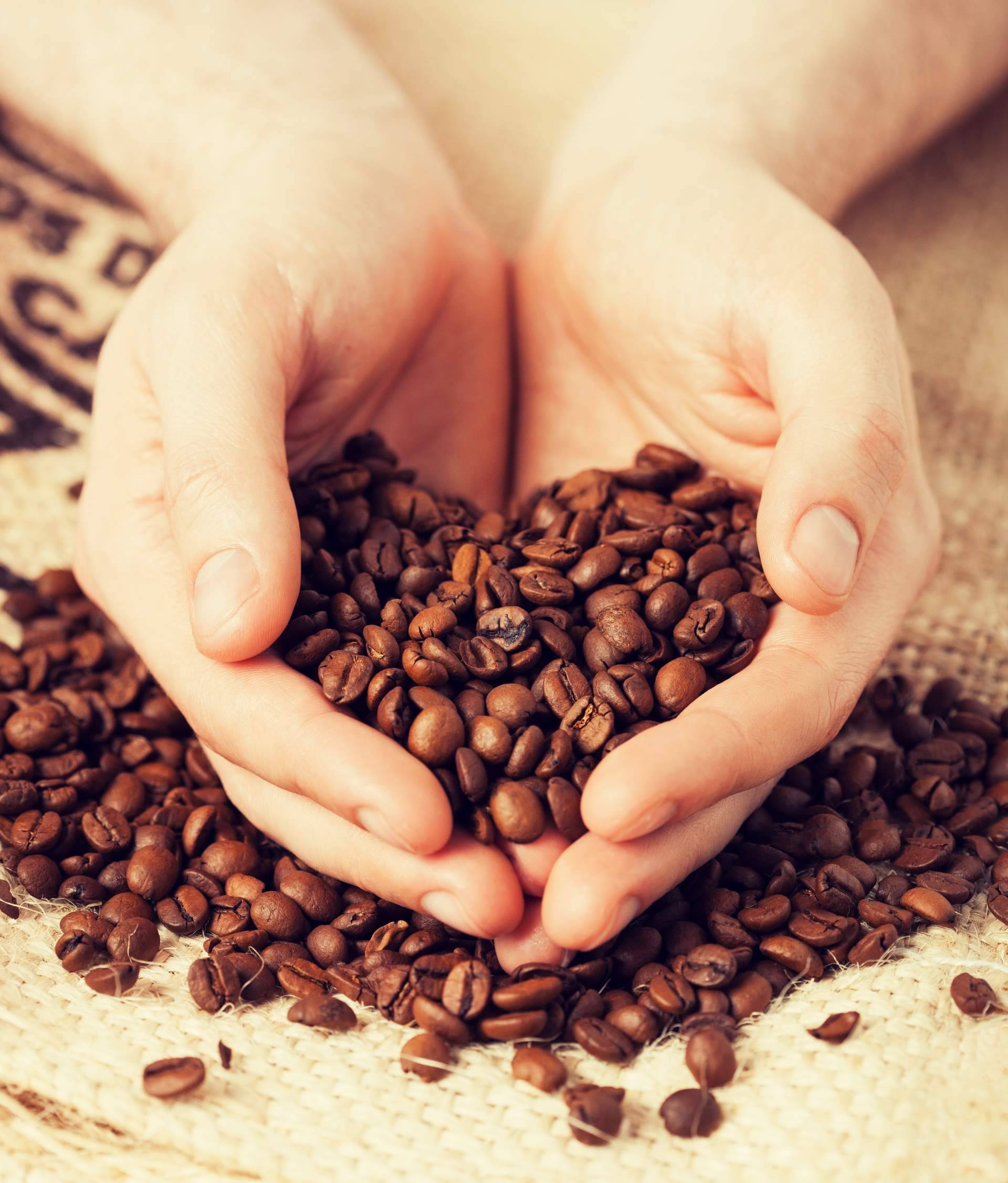 El café de especialidad para oficinas gana terreno; Fresh OCS analiza sus beneficios frente al café comercial