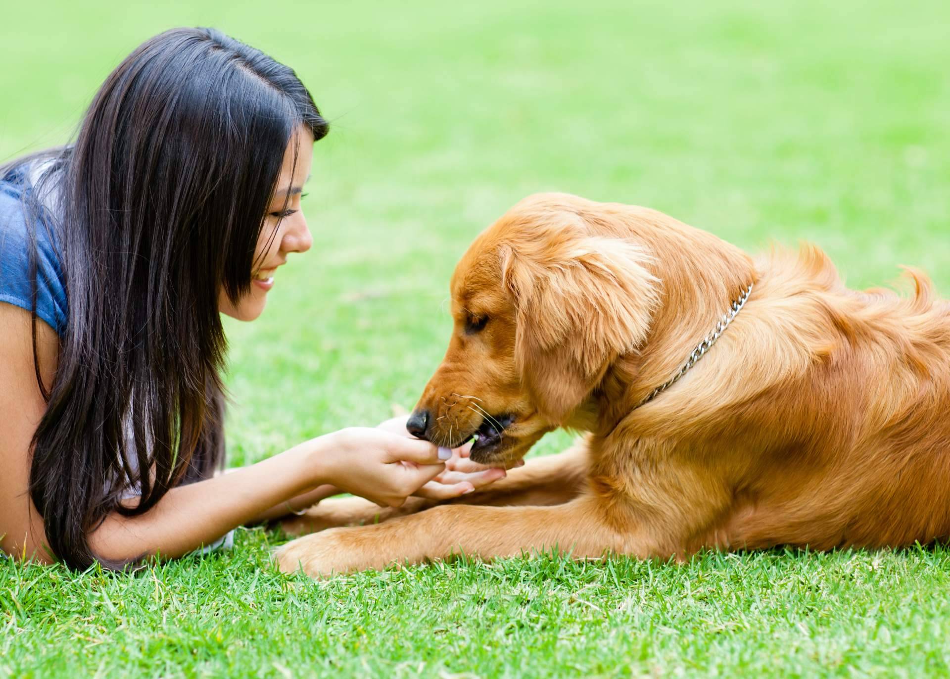 Ka Salud Integral impulsa la expansión en España de MAC’s, marca alemana de nutrición natural para perros y gatos