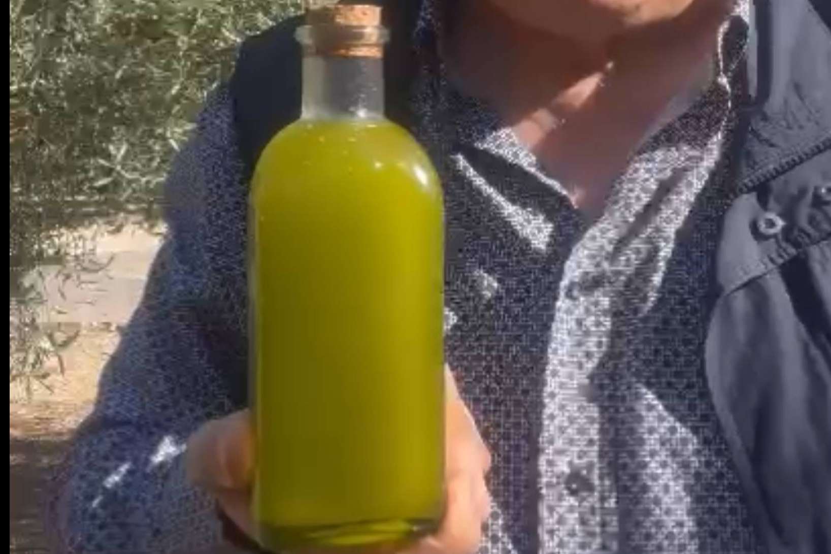 Tercio de las Torres, el aceite de oliva gourmet que conquista los sentidos
