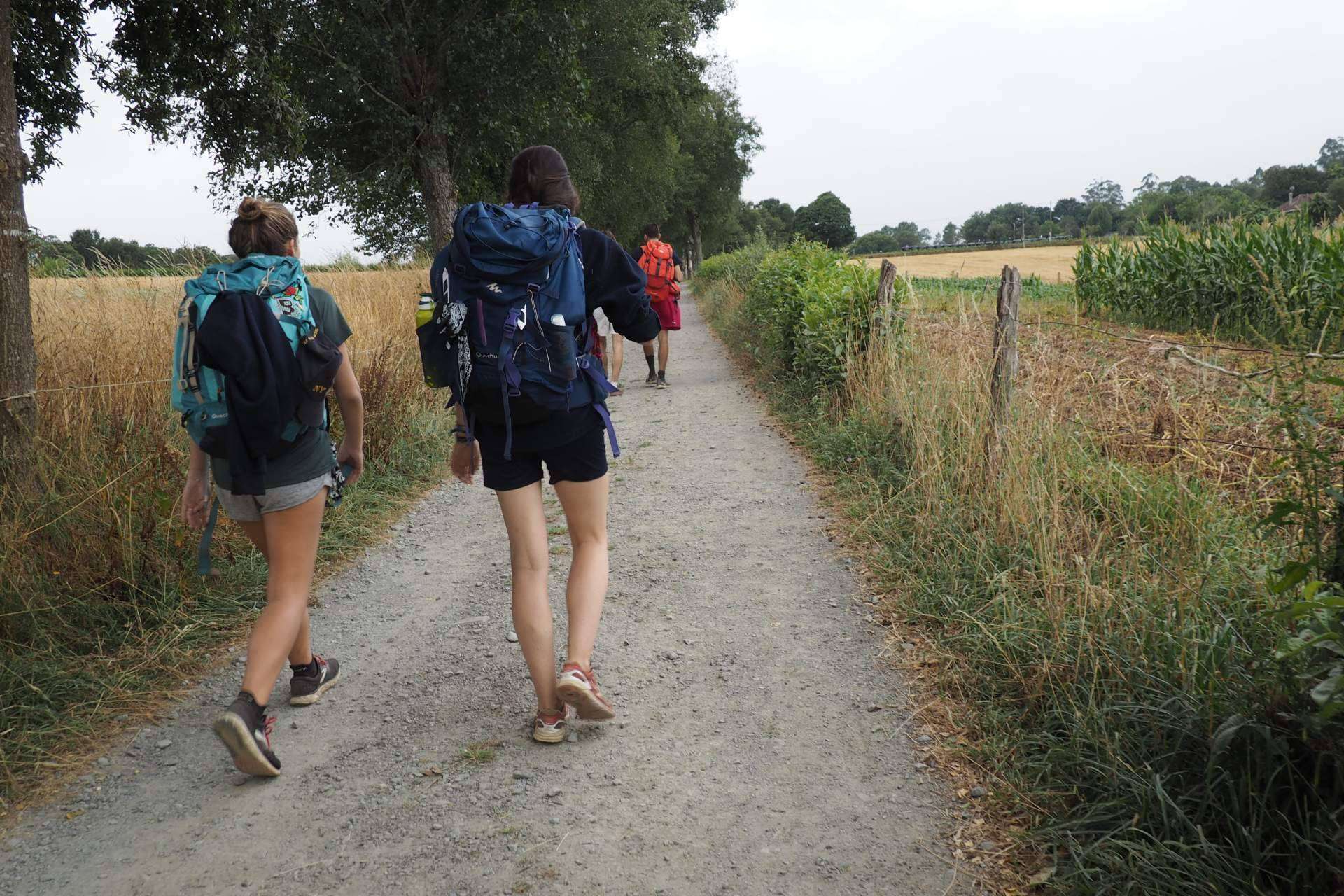 ¿Qué ruta del Camino de Santiago elegir? Galiwonders orienta según perfil y expectativas