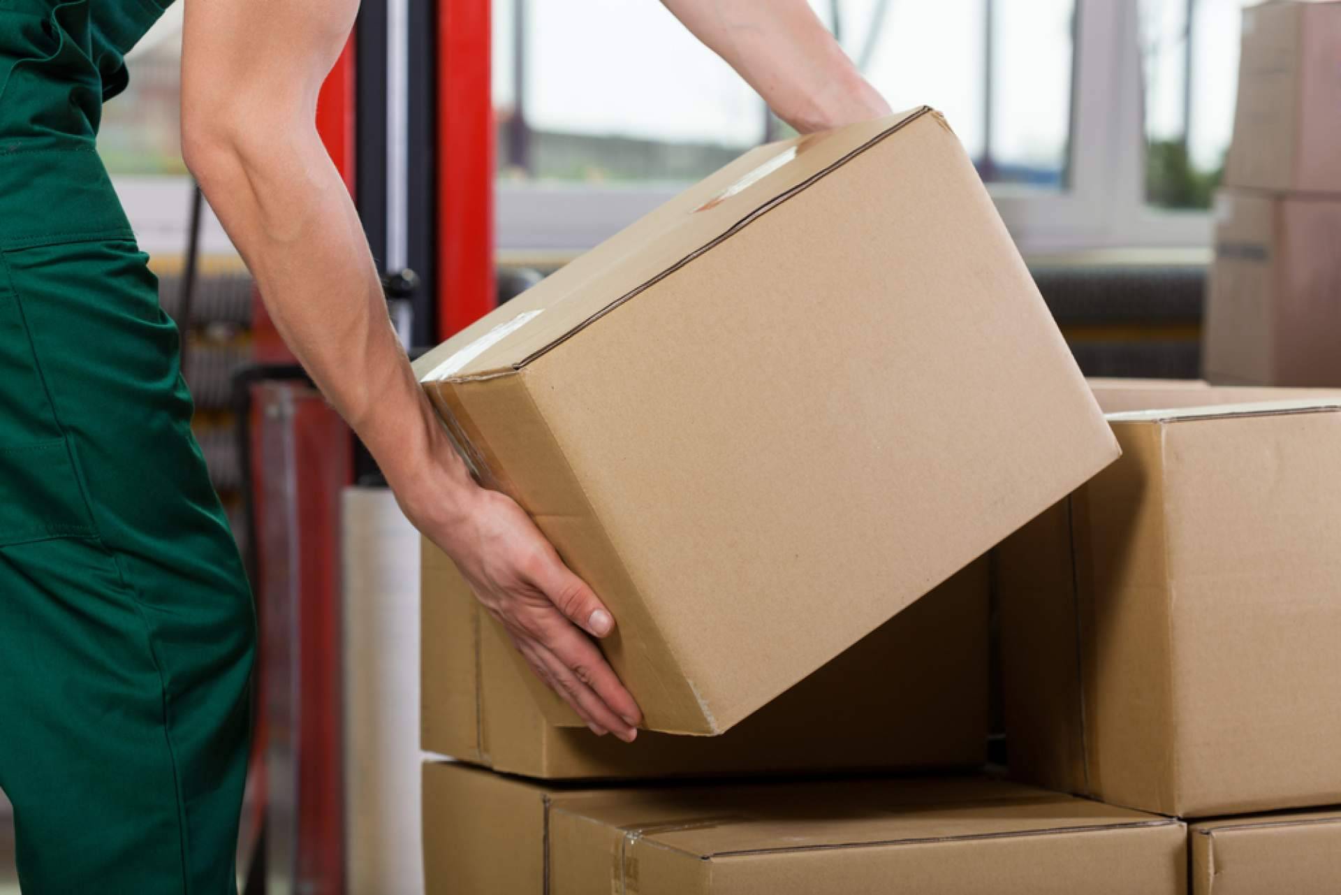Cómo las empresas se preparan para la temporada alta; la logística clave para triunfar