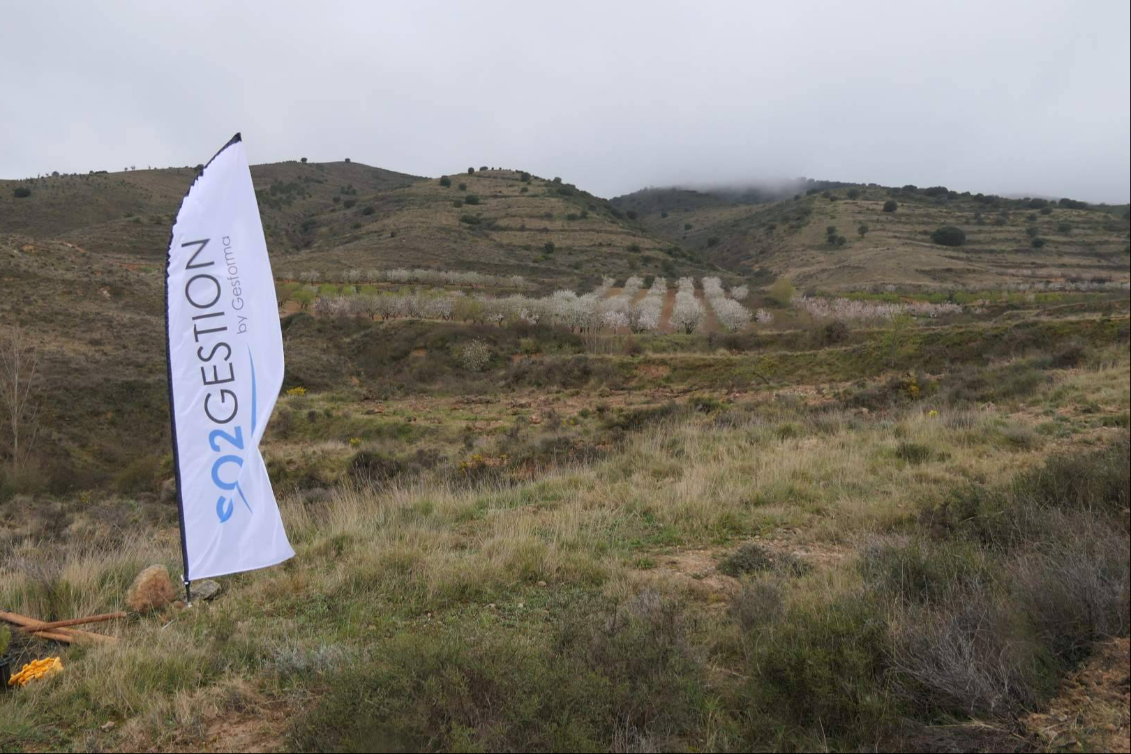 CO2 GESTIÓN impulsa proyectos de absorción válidos para el registro oficial del MITERD