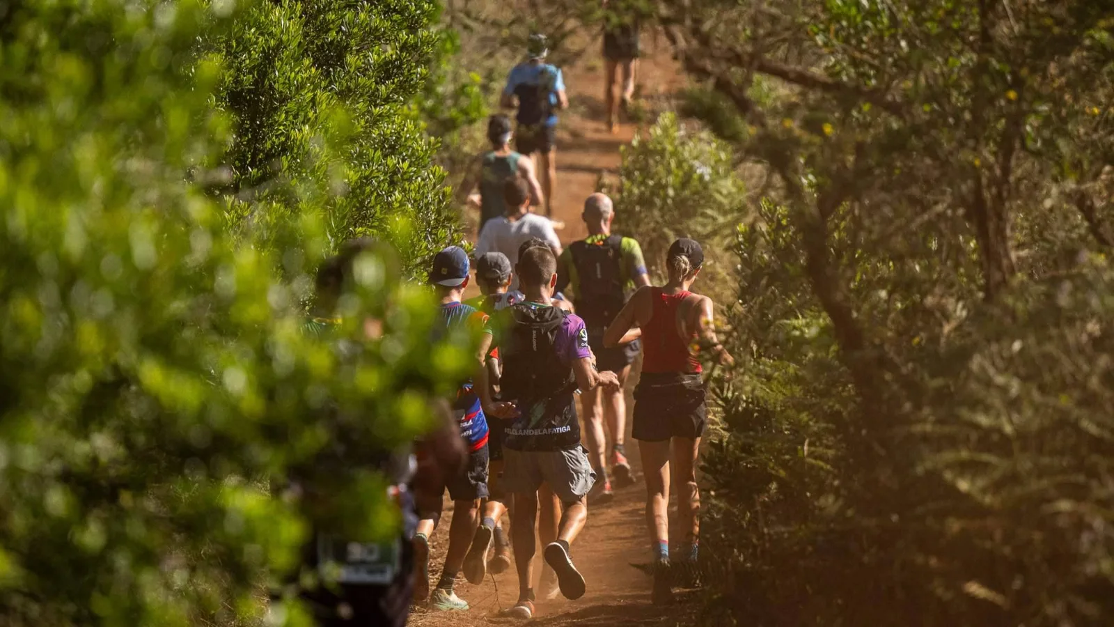 La lluvia rompió el camino; La Aguas de Teror Trail abrió otro