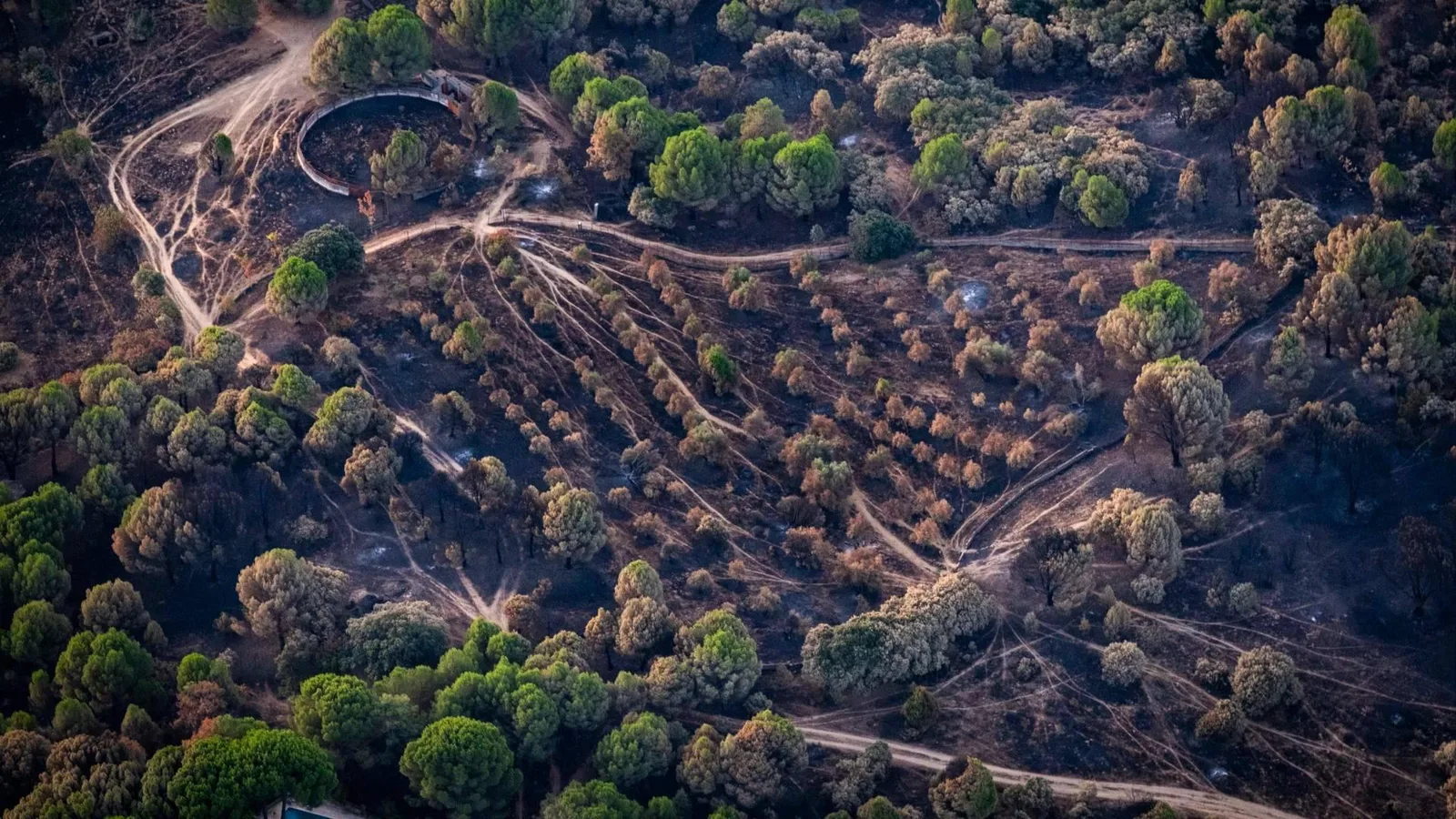 Las impactantes imágenes que muestran el desastre causado por los incendios en España