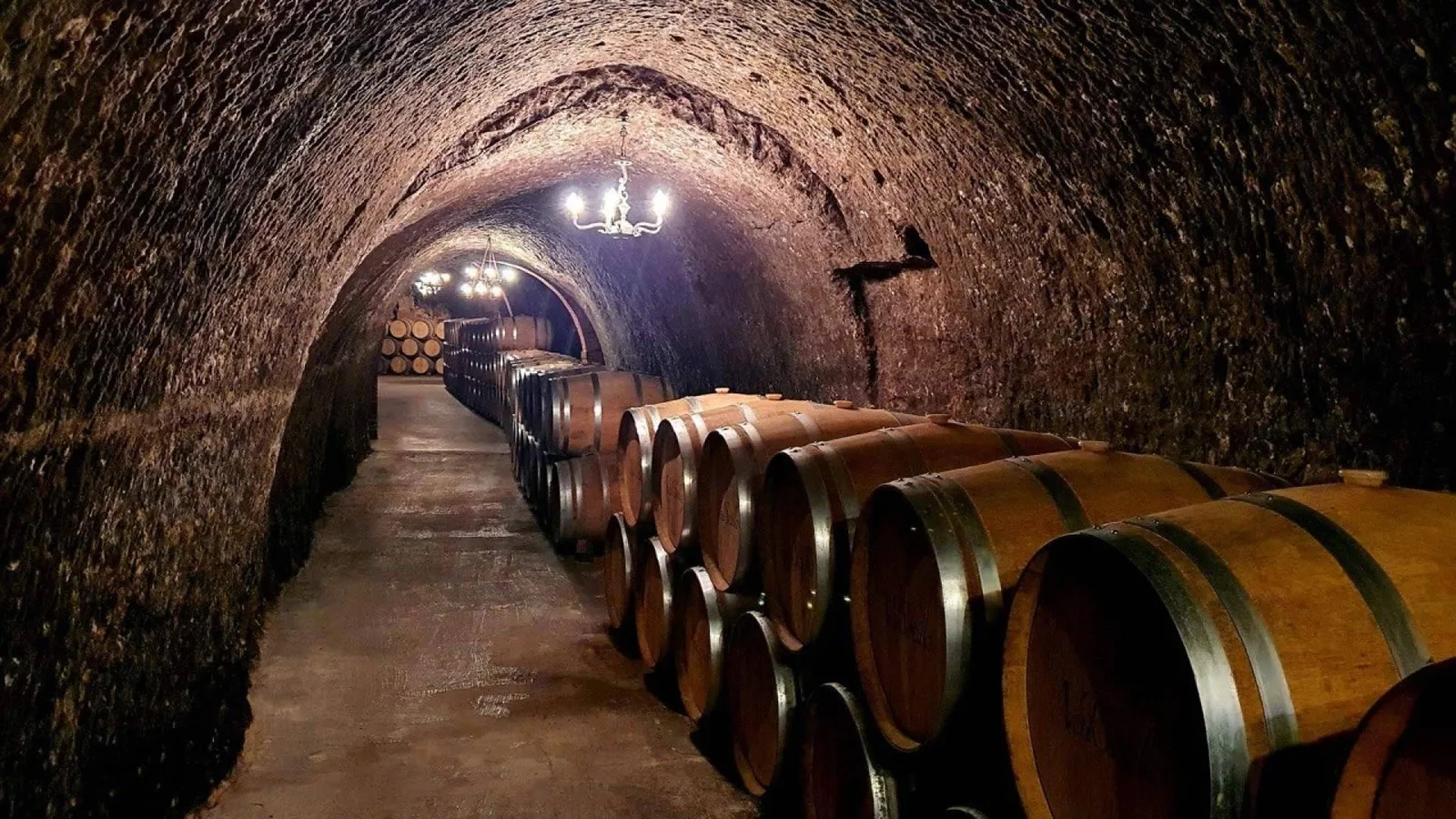 ¿Tour de vinos o ir por cuenta propia? Las claves para disfrutar de las bodegas sin preocuparse por la organización